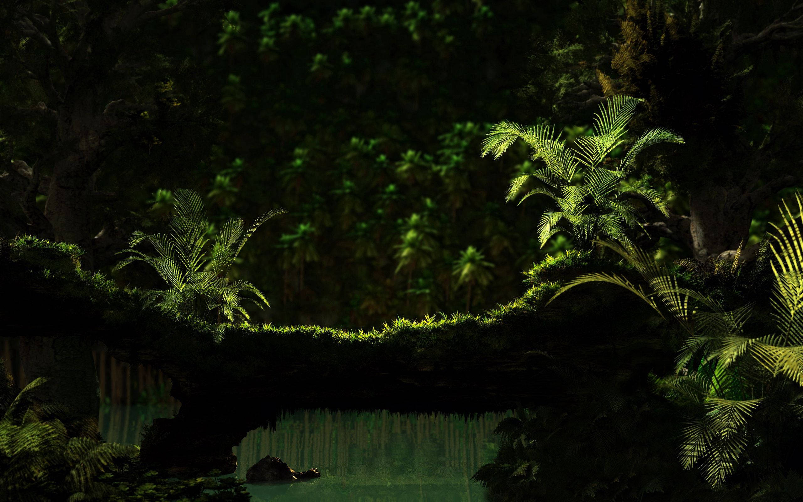 Dark Green Forest, mossy tree branch, jungle stream, 2K Desktop Wallpaper