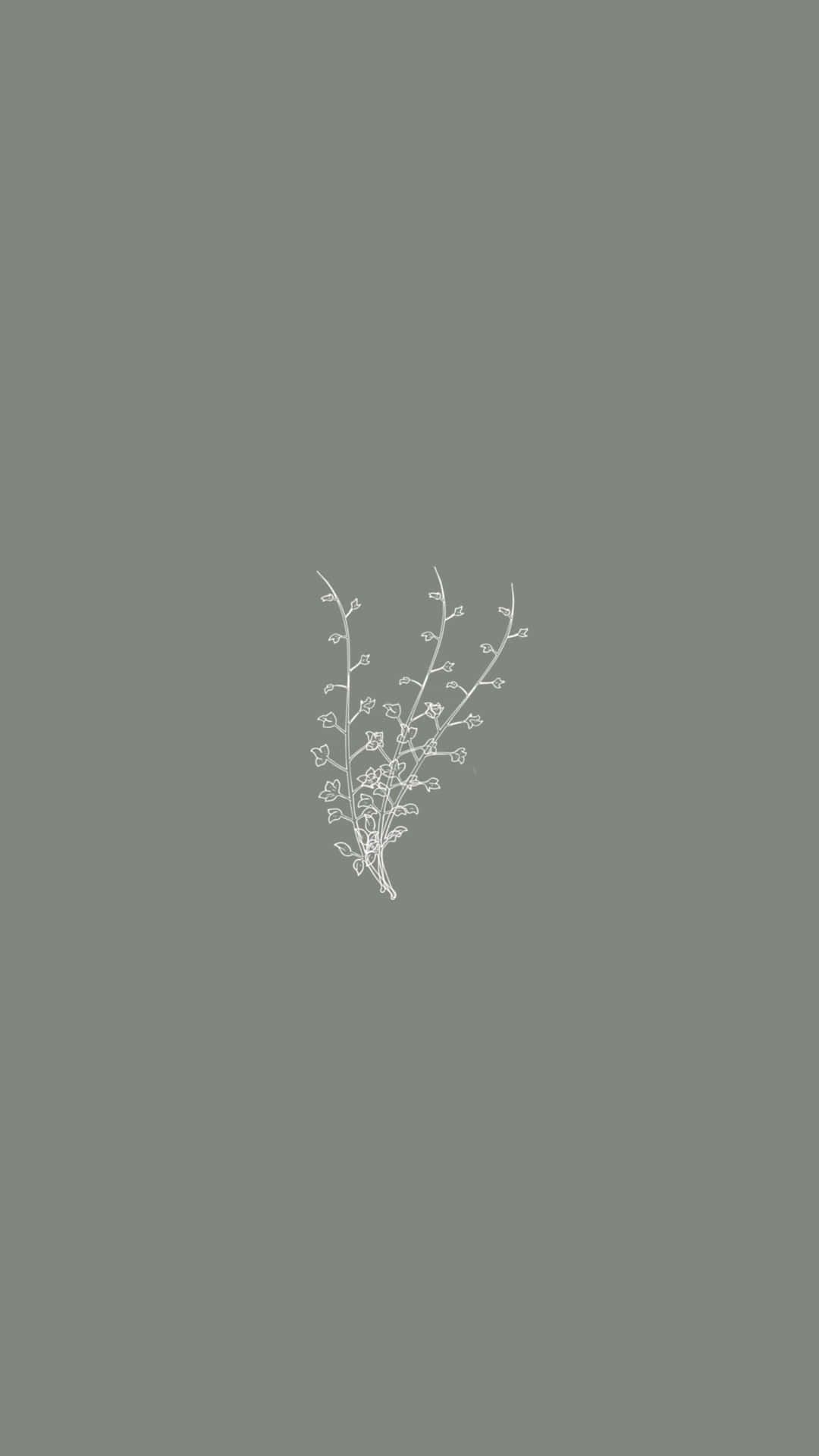 dark grey aesthetic, white line drawing, flowering branch, Full HD Phone Wallpaper