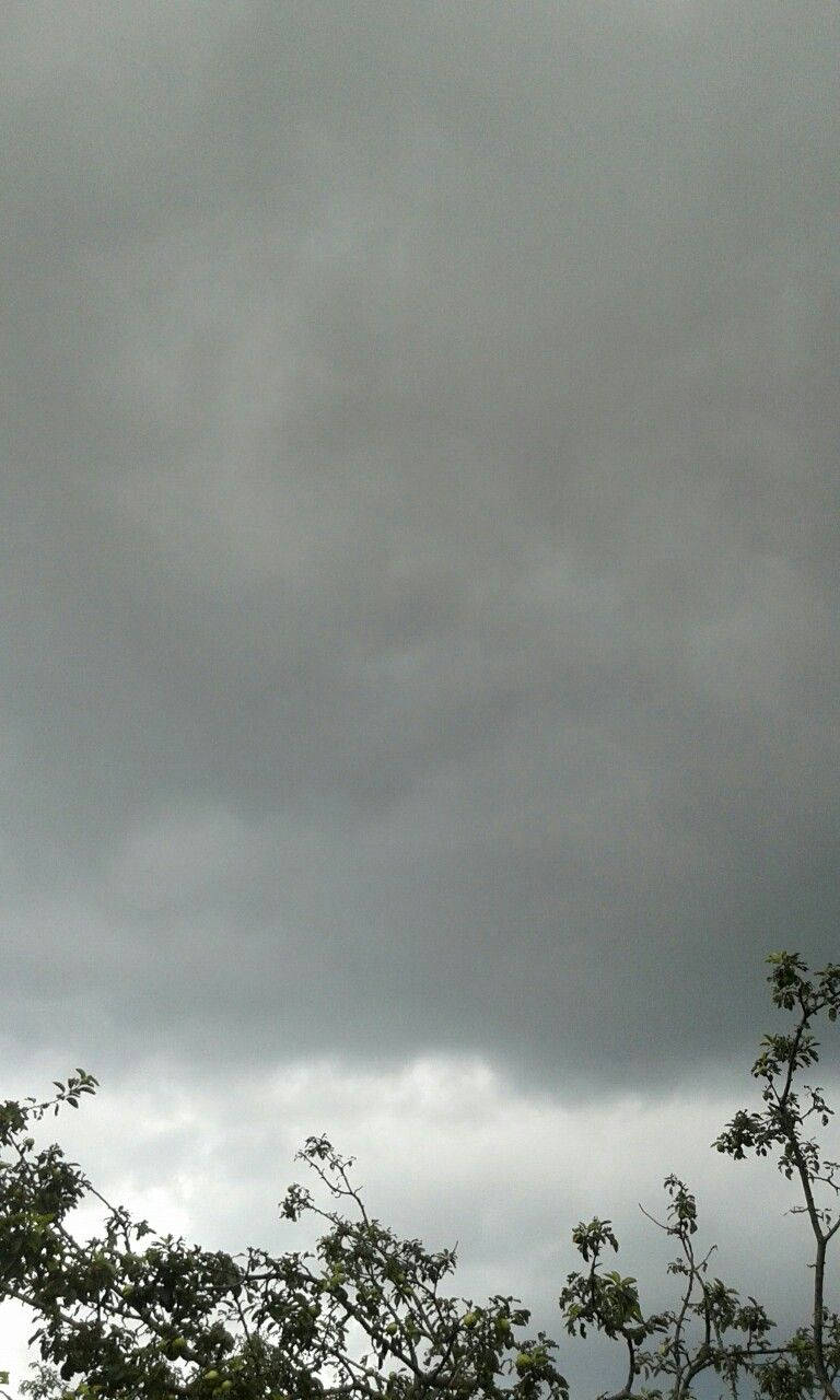 Dark Grey iPhone, storm clouds, tree branches, HD Phone Wallpaper