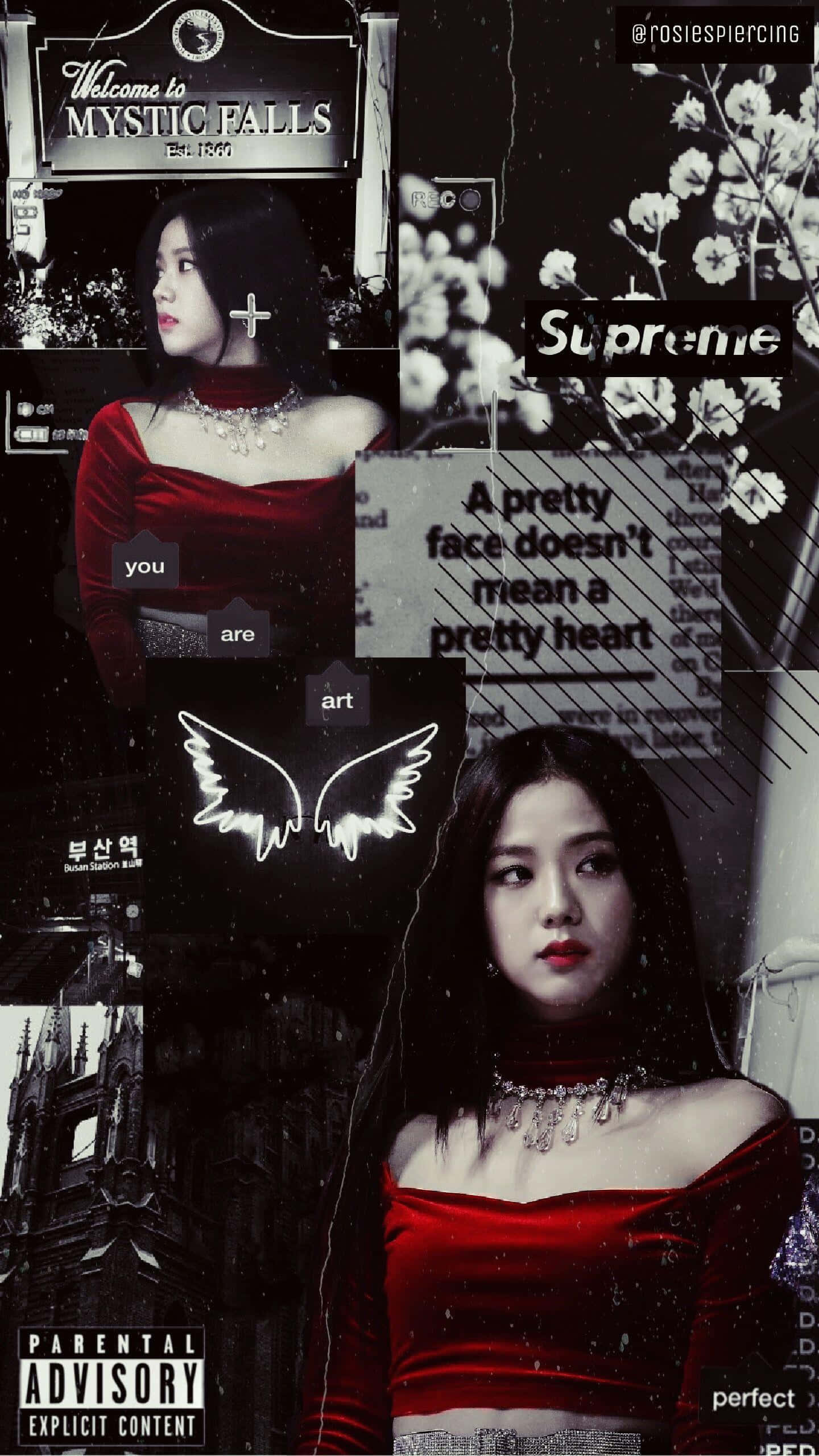 vampire aesthetic, black and white photos, woman in red velvet, 2K Phone Wallpaper