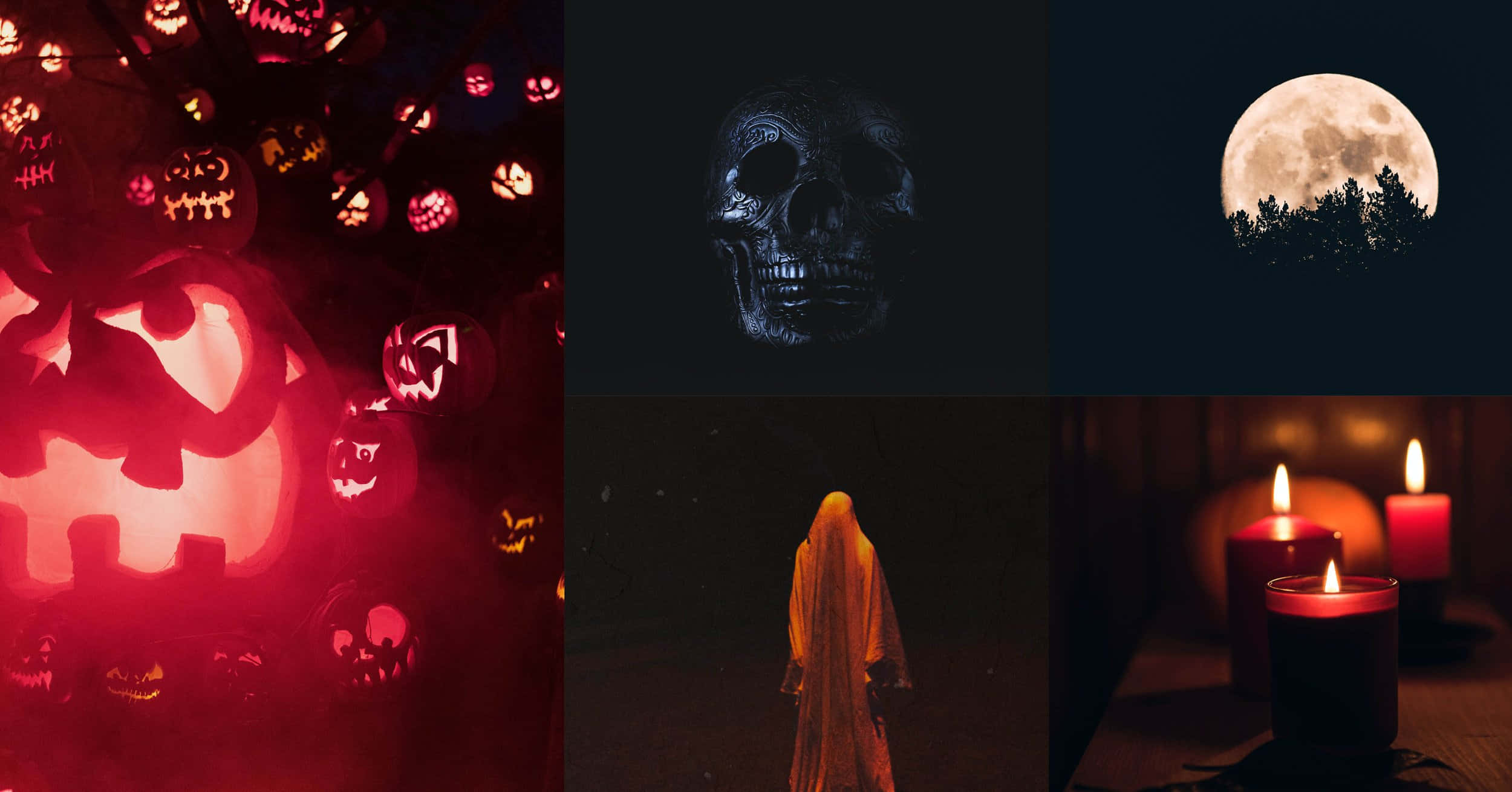 glowing jack-o-lanterns, red moonlit trees, skull, Full HD Desktop Wallpaper
