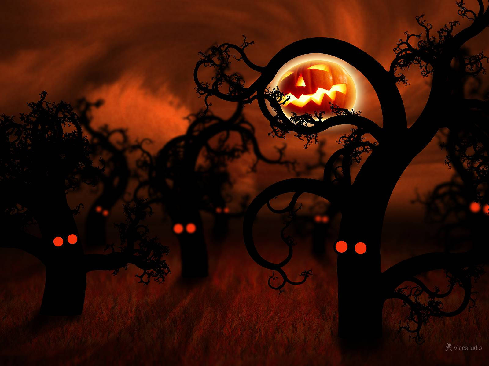 Dark Halloween, jack-o'-lantern moon, twisted trees, HD Desktop Wallpaper