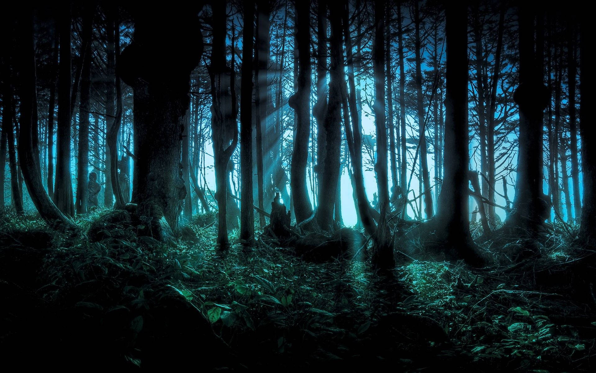 Dark Halloween Forest, mysterious forest, night, Full HD Desktop Wallpaper