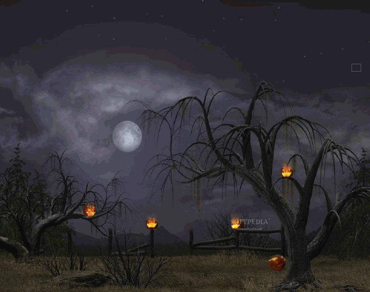 Dark Halloween, jack-o'-lanterns, full moon, SD Desktop Wallpaper