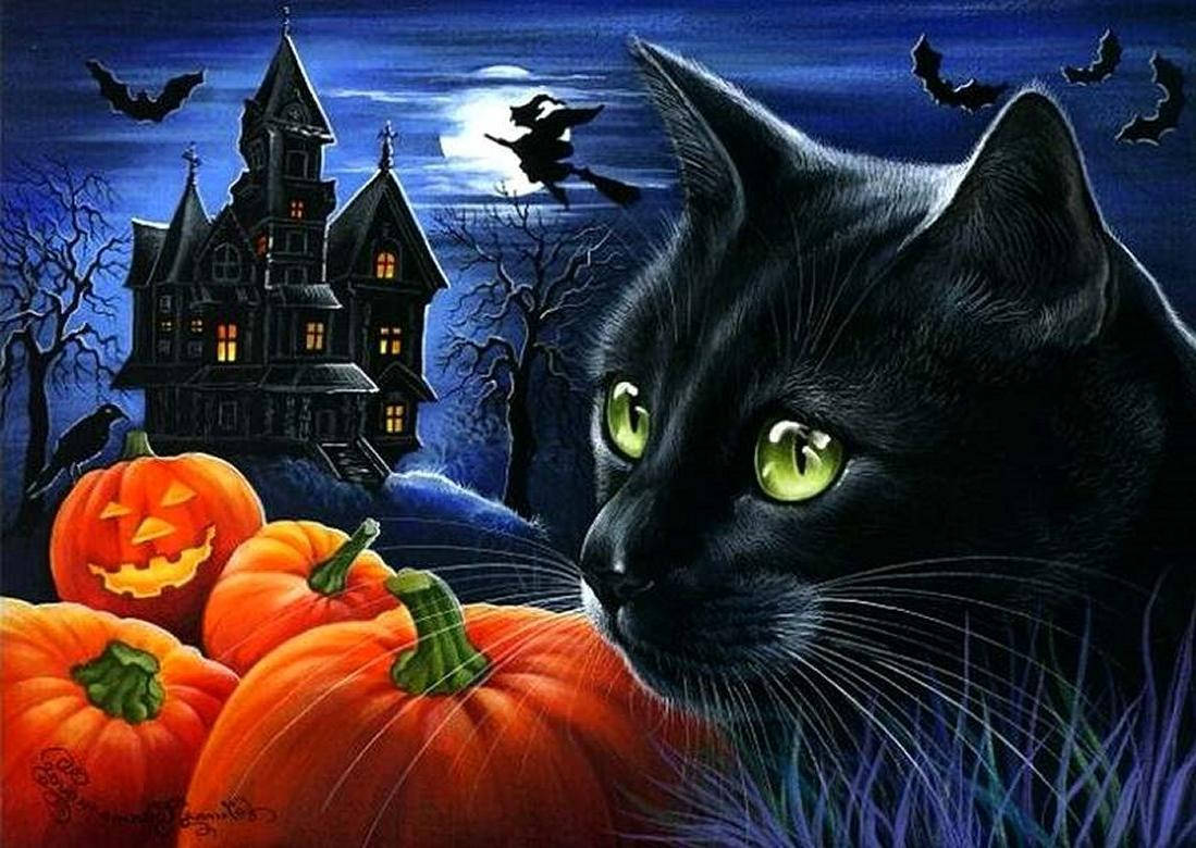 black cat, glowing green eyes, orange pumpkins, SD Desktop Wallpaper