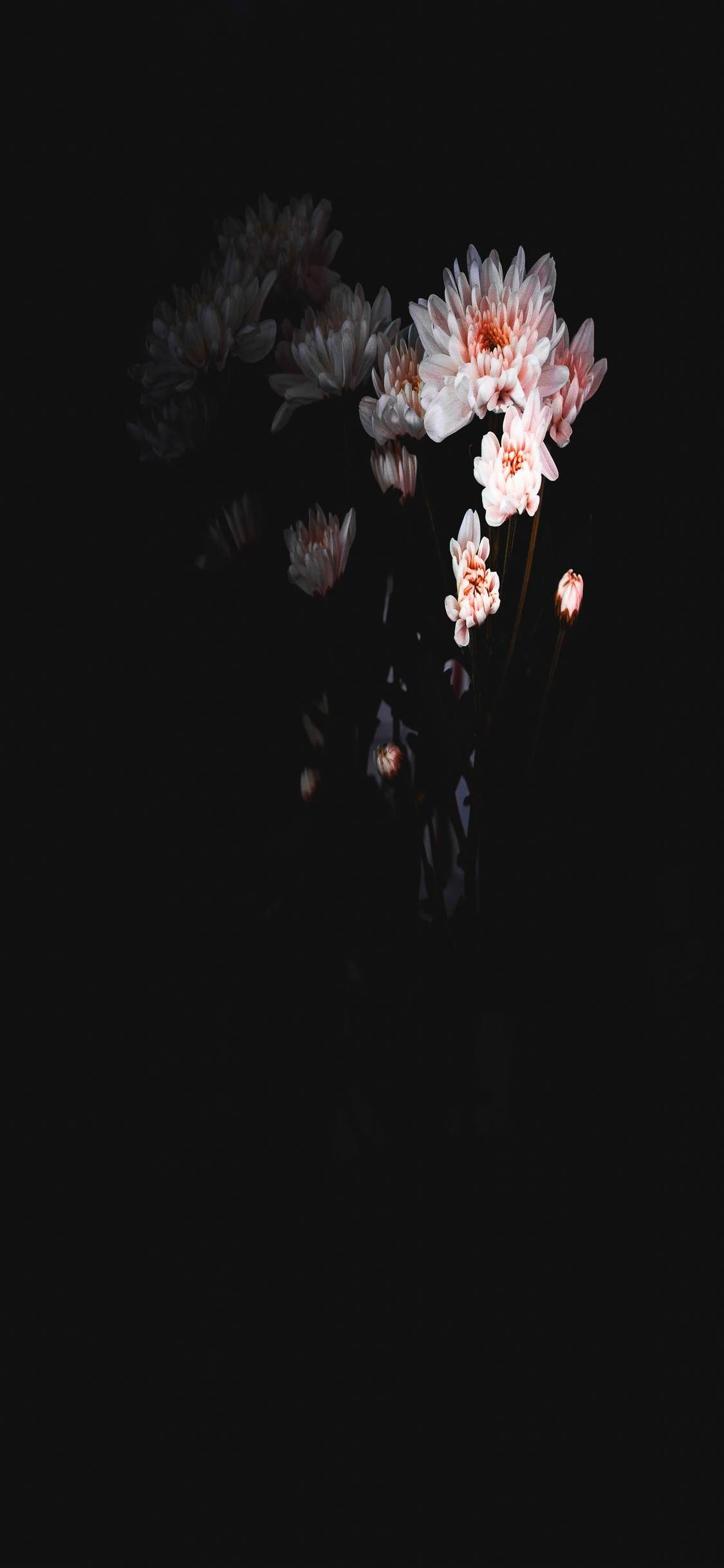 Floating Dark HD Flowers Phone, pink and white flowers, deep black background, Full HD Phone Wallpaper