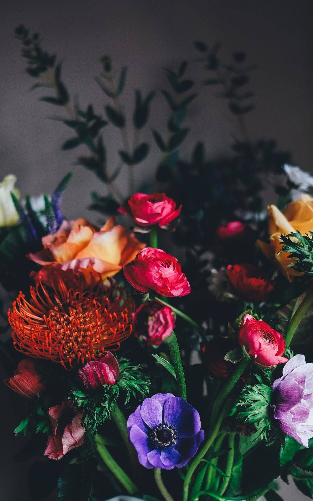 Dark HD Flowers, red orange, purple, HD Phone Wallpaper