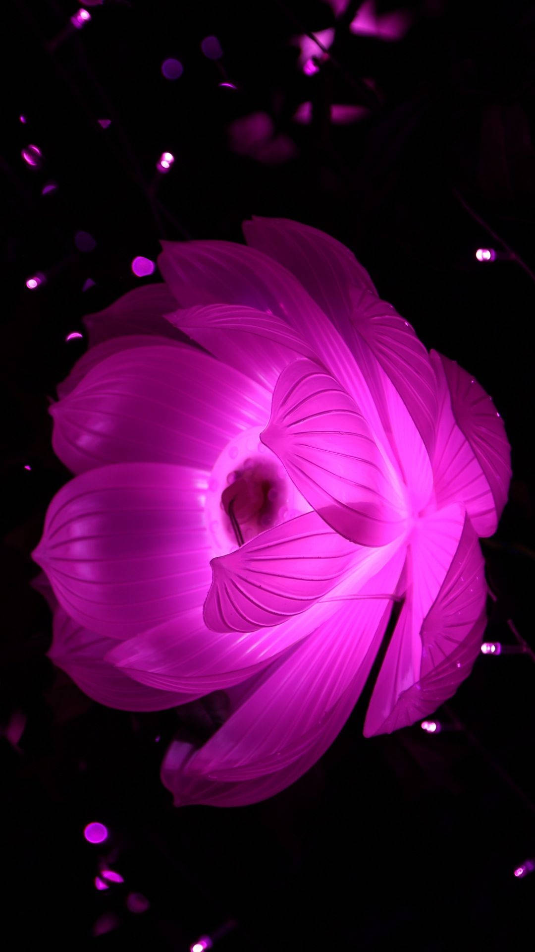glowing magenta lotus flower, dark background, scattered bokeh lights, Full HD Phone Wallpaper