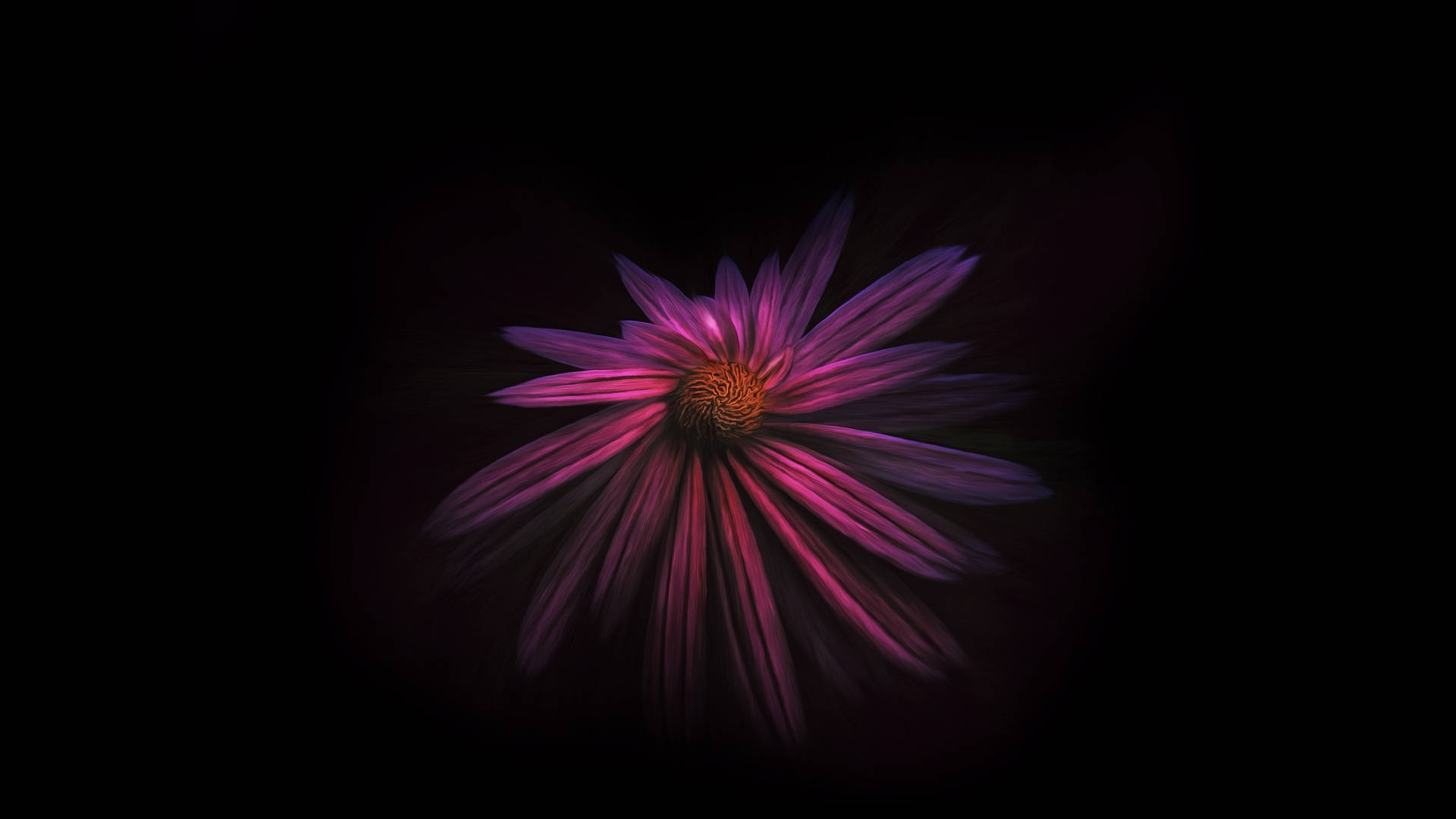 Dark HD Flowers, radiant purple flower, blurred petals, Full HD Desktop Wallpaper