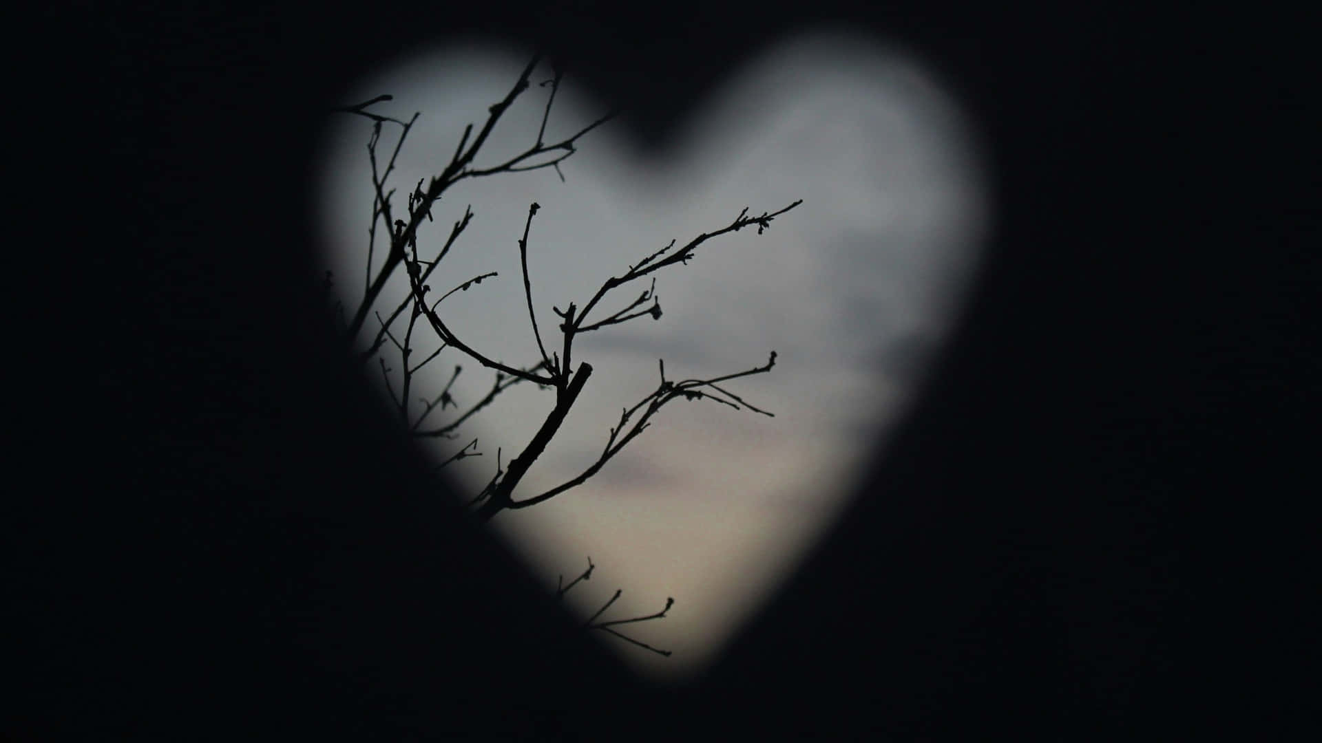 Dark Love Heart Shadow, heart-shaped window, bare tree branches, Full HD Desktop Wallpaper
