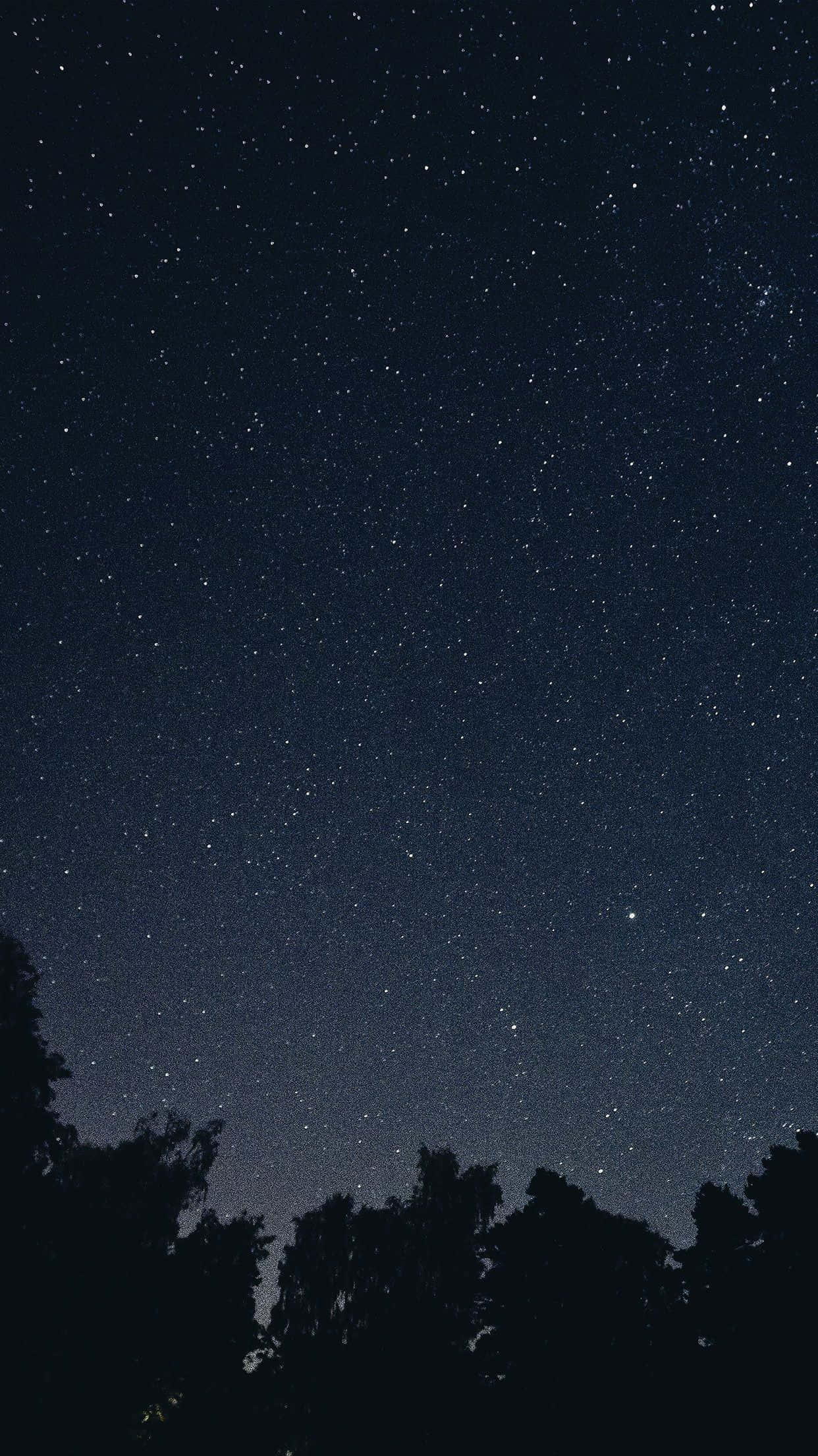 Dark Sky, star-filled night sky, treetops, Full HD Phone Wallpaper