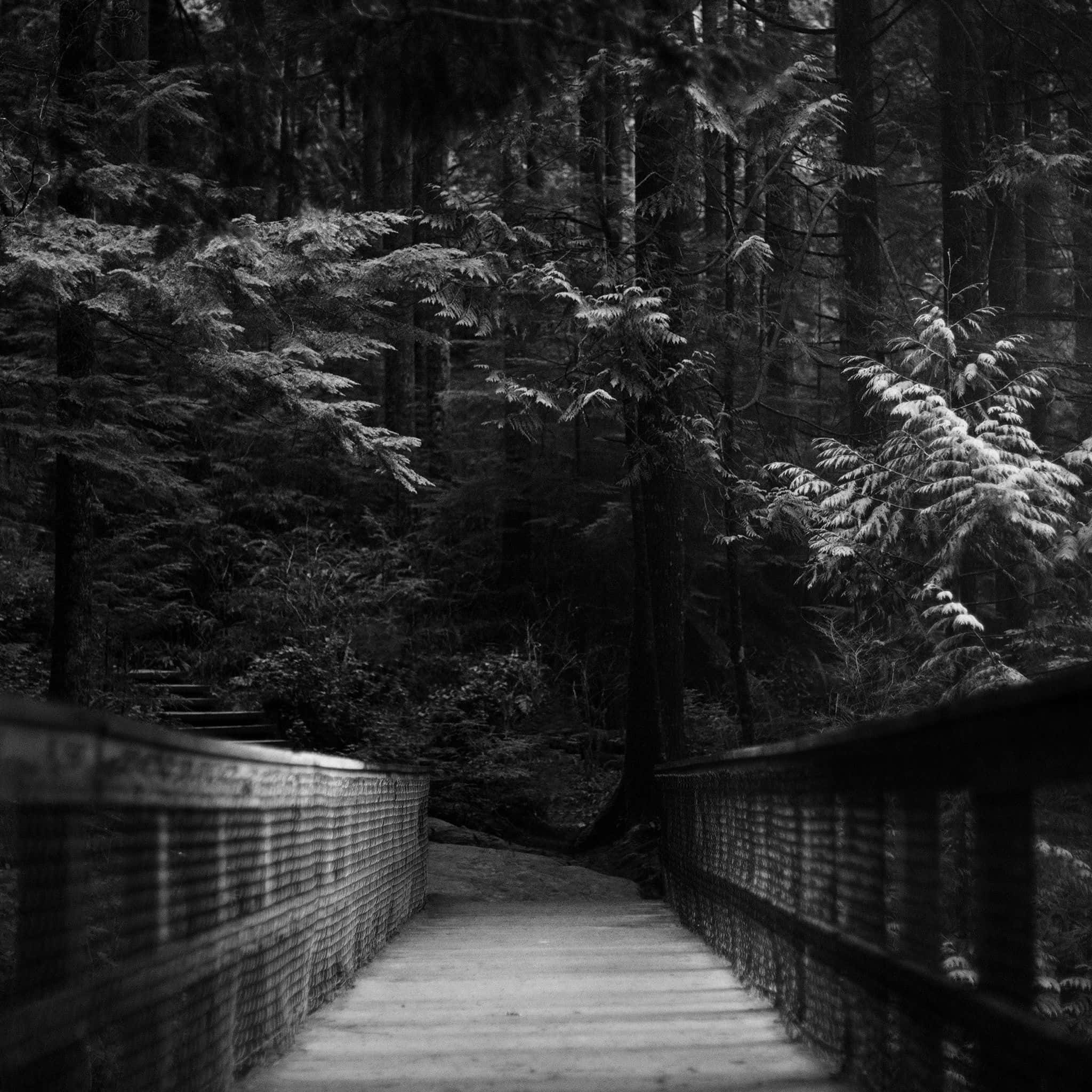 Dark iPad, bridge, forest, Full HD Desktop Wallpaper