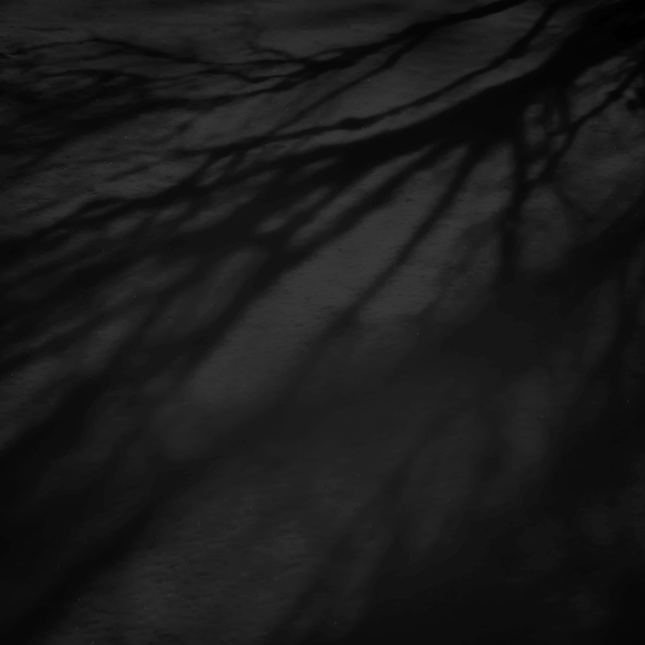 Dark iPad, tree branch shadows, textured gray surface, 2K Desktop Wallpaper