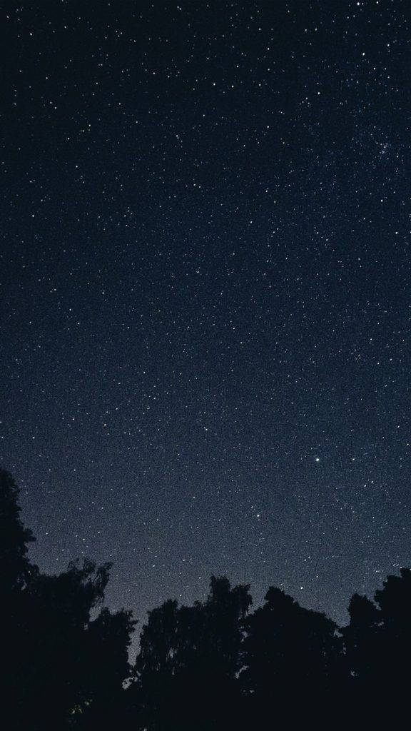 Starry Night Sky, galaxy, dark silhouette, SD Phone Wallpaper