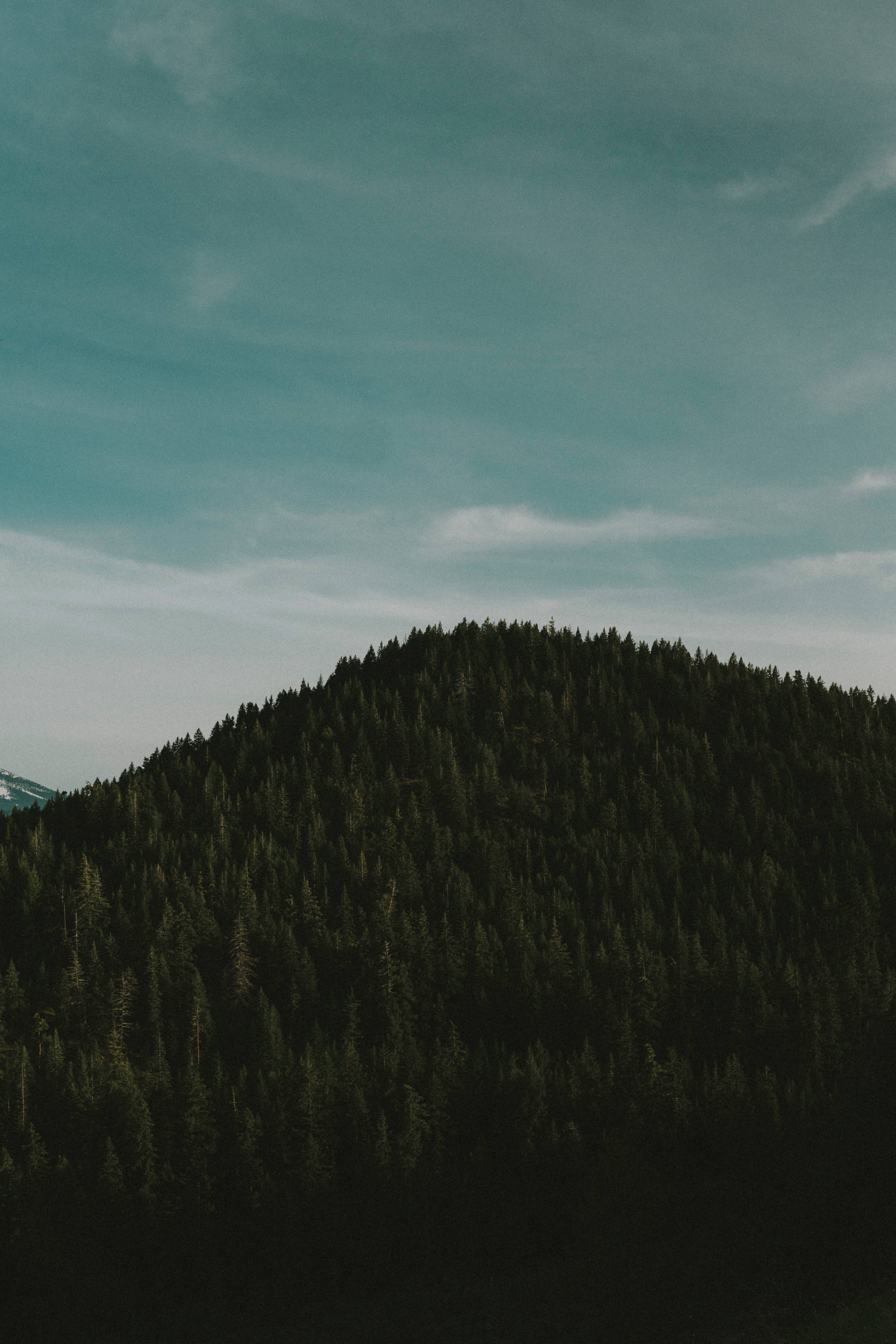 Dark iPhone, mountain ridge, dark forested, 5K Phone Wallpaper