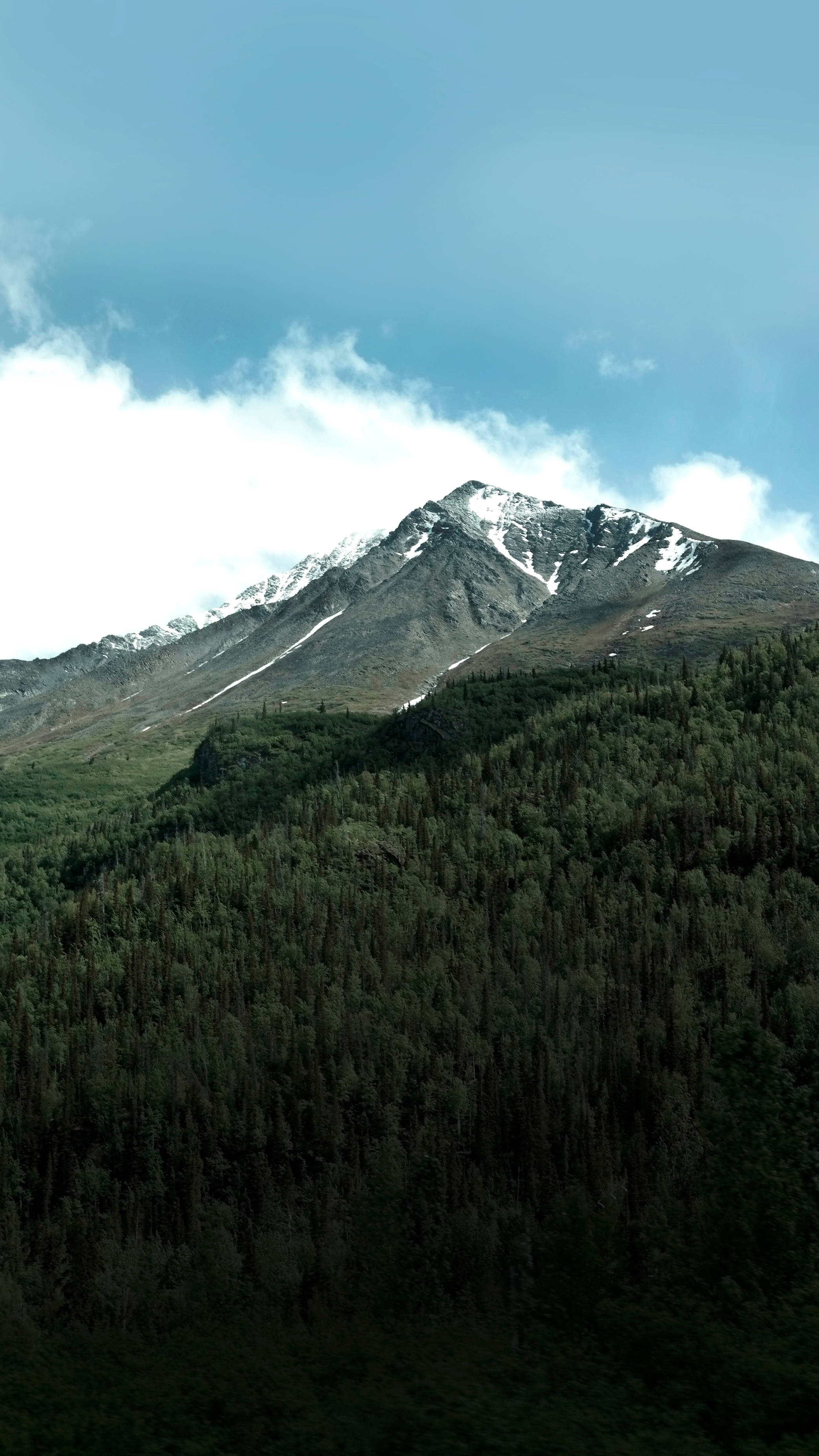snow-capped mountain peak, dense forest, partly cloudy blue sky, 2K Phone Wallpaper