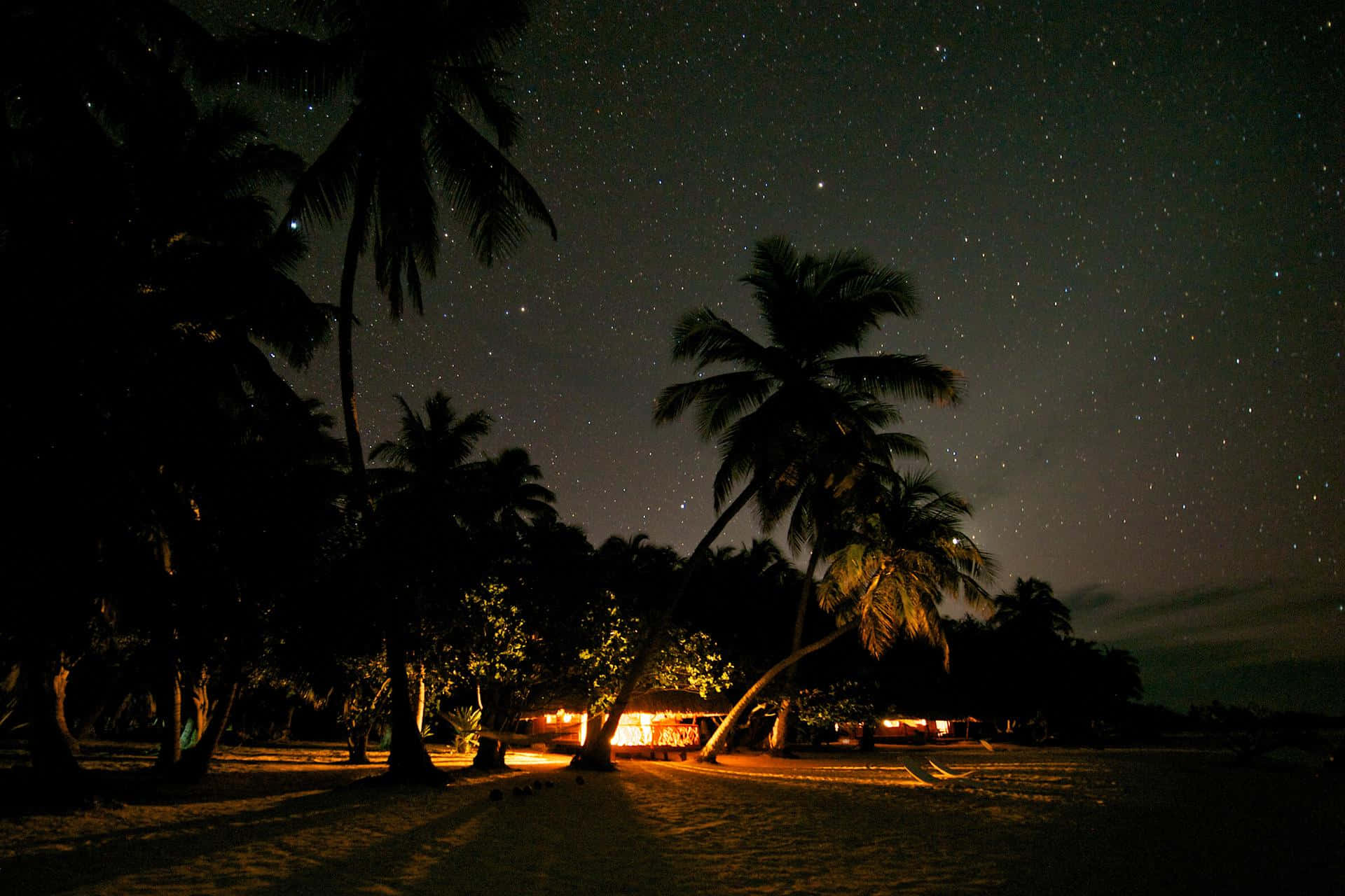 Dark Island, starry night sky, silhouetted palm trees, Full HD Desktop Wallpaper