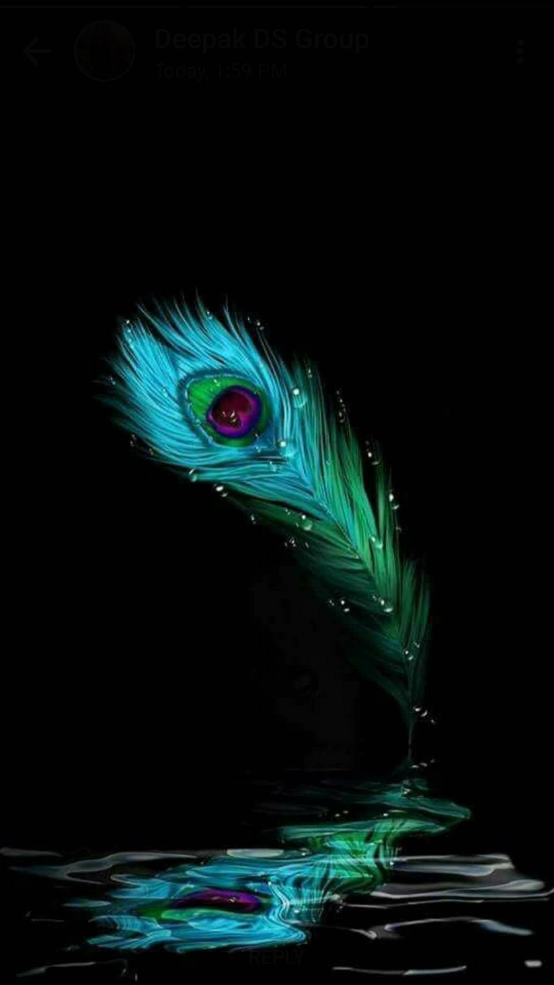 Dark Krishna, peacock feather, iridescent blue green hues, Full HD Phone Wallpaper