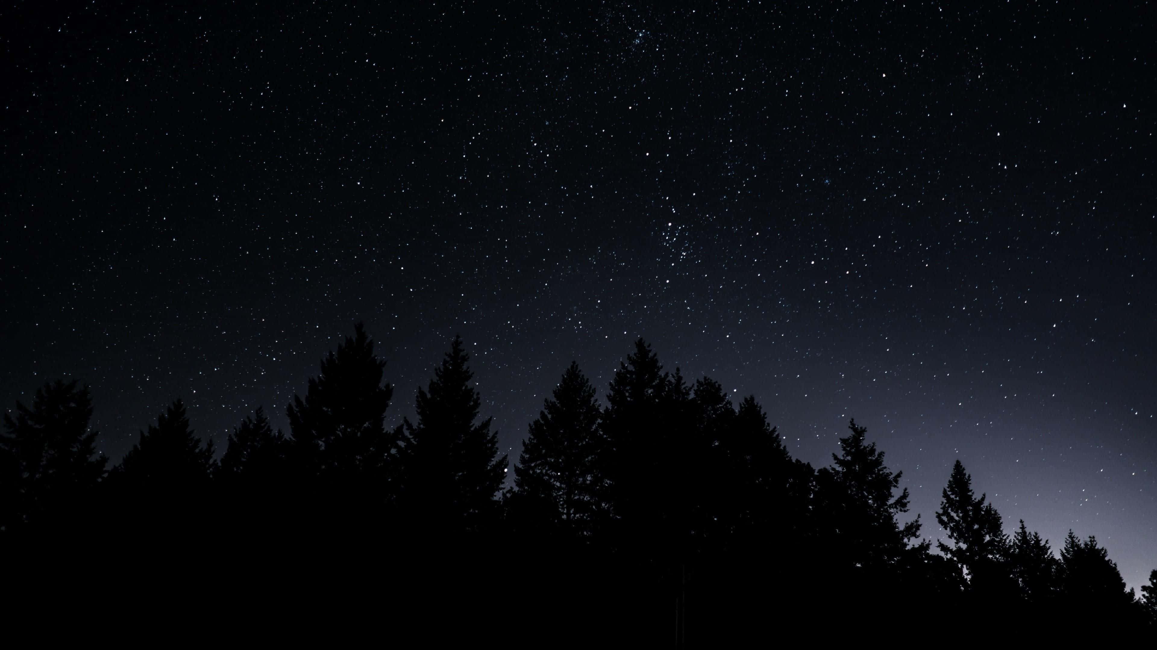 dark sky, starry night sky, deep indigo gradient, 4K Desktop Wallpaper