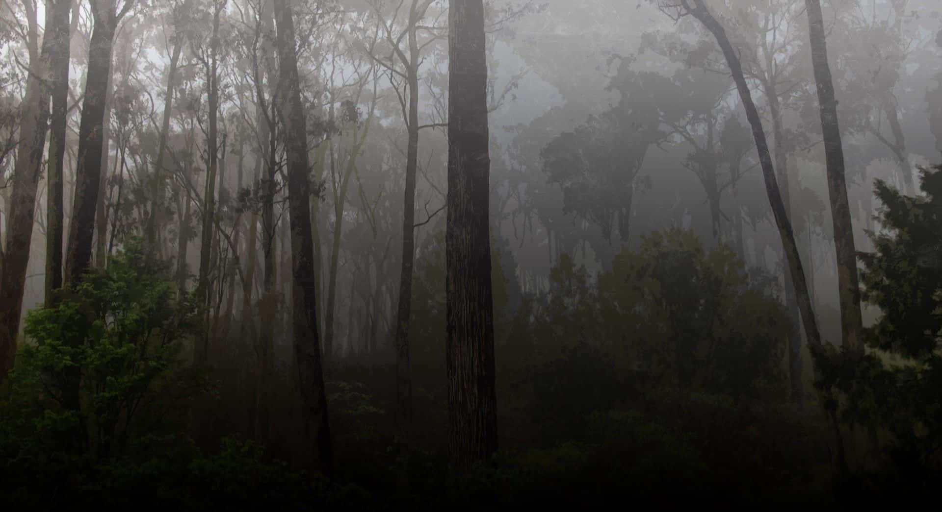 Dark Landscape, misty forest, tall trees, Full HD Desktop Wallpaper