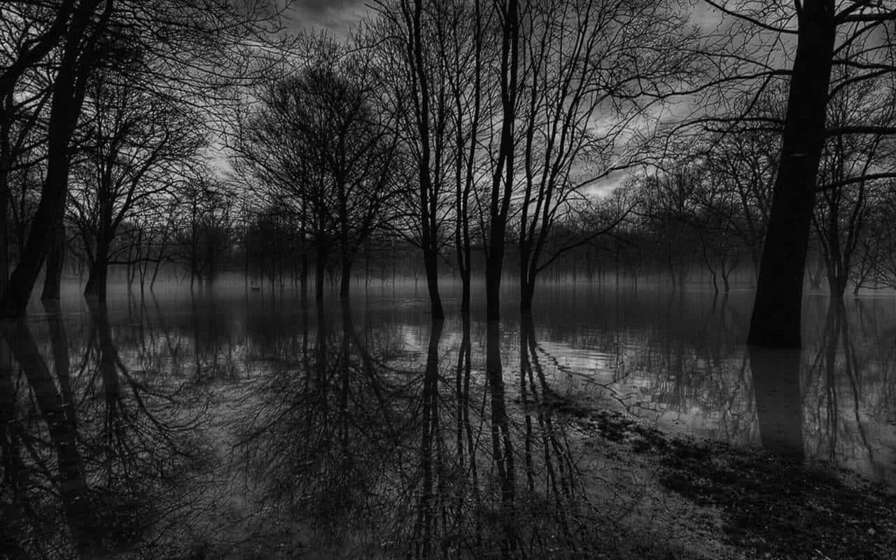 Dark Landscape, silhouetted trees, flooded waters, HD Desktop Wallpaper
