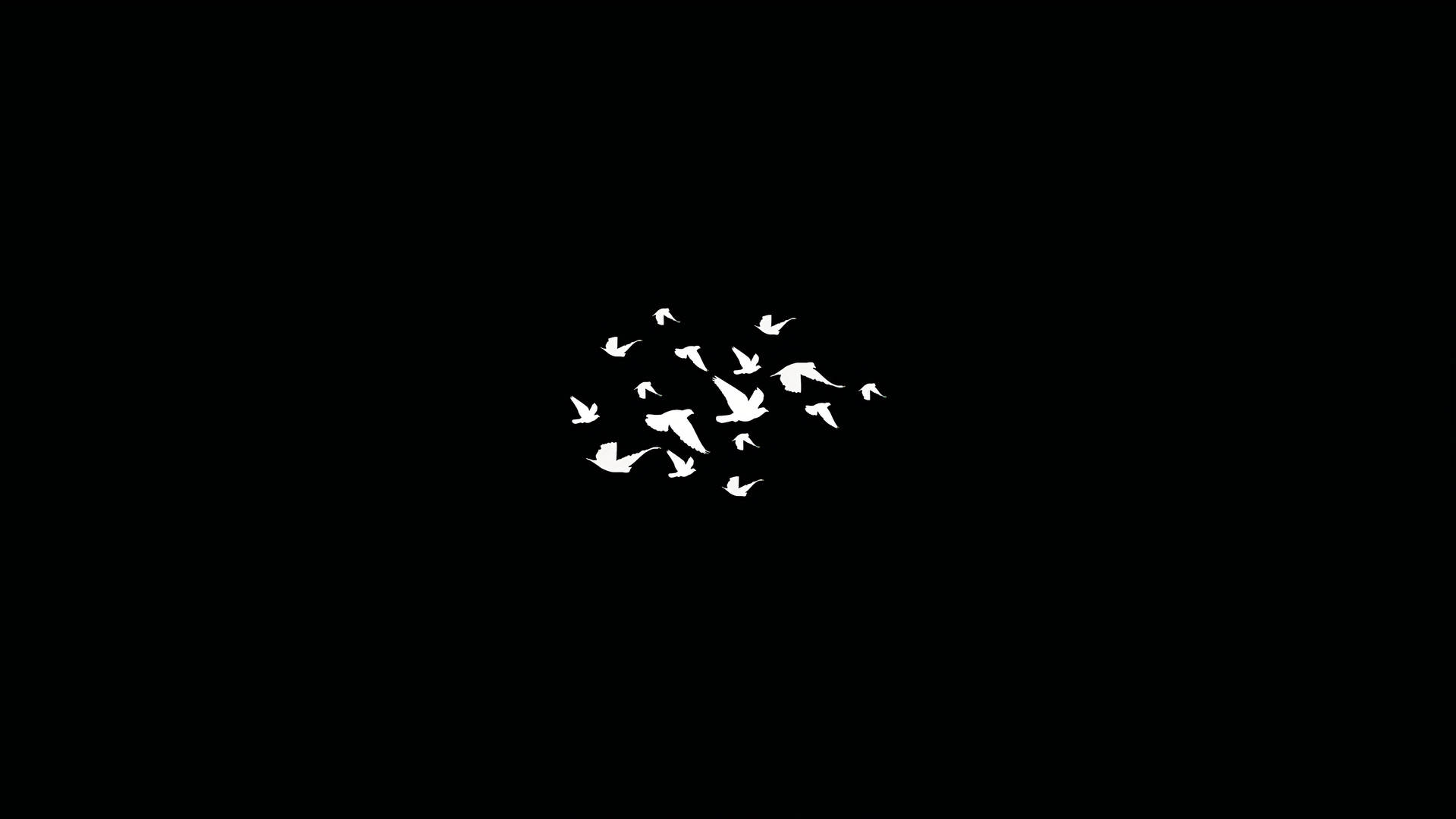 Dark Laptop, white birds, silhouette, Full HD Desktop Wallpaper