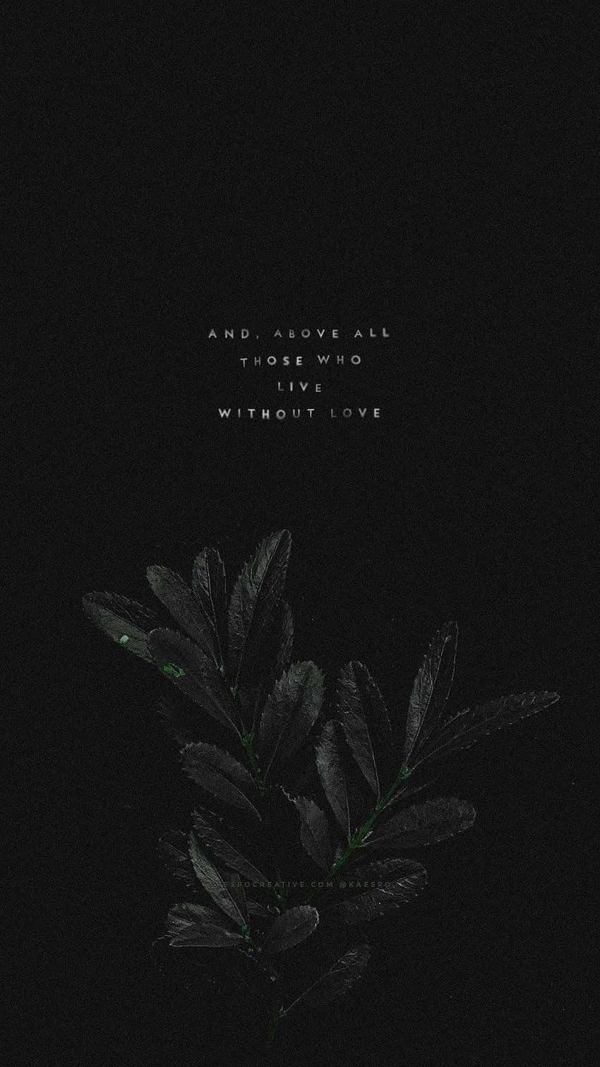 Dark Romance Leaf Aesthetic, textured background, faint white quote, HD Phone Wallpaper
