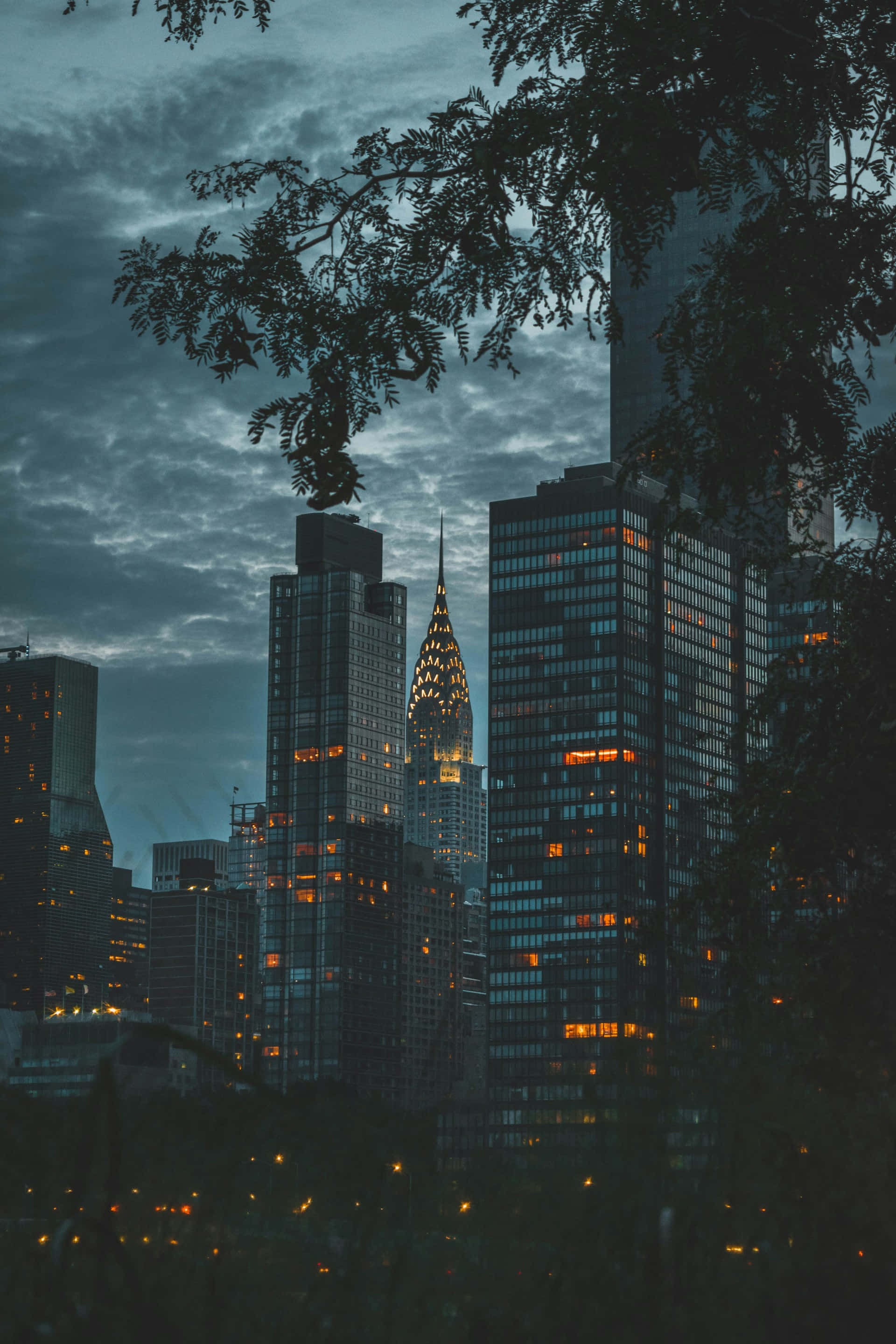 twilight cityscape, tree branches, illuminated skyscrapers, 2K Phone Wallpaper