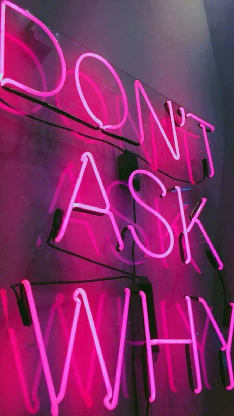 DON'T ASK WHY, vibrant pink neon sign, dark wall, HD Phone Wallpaper