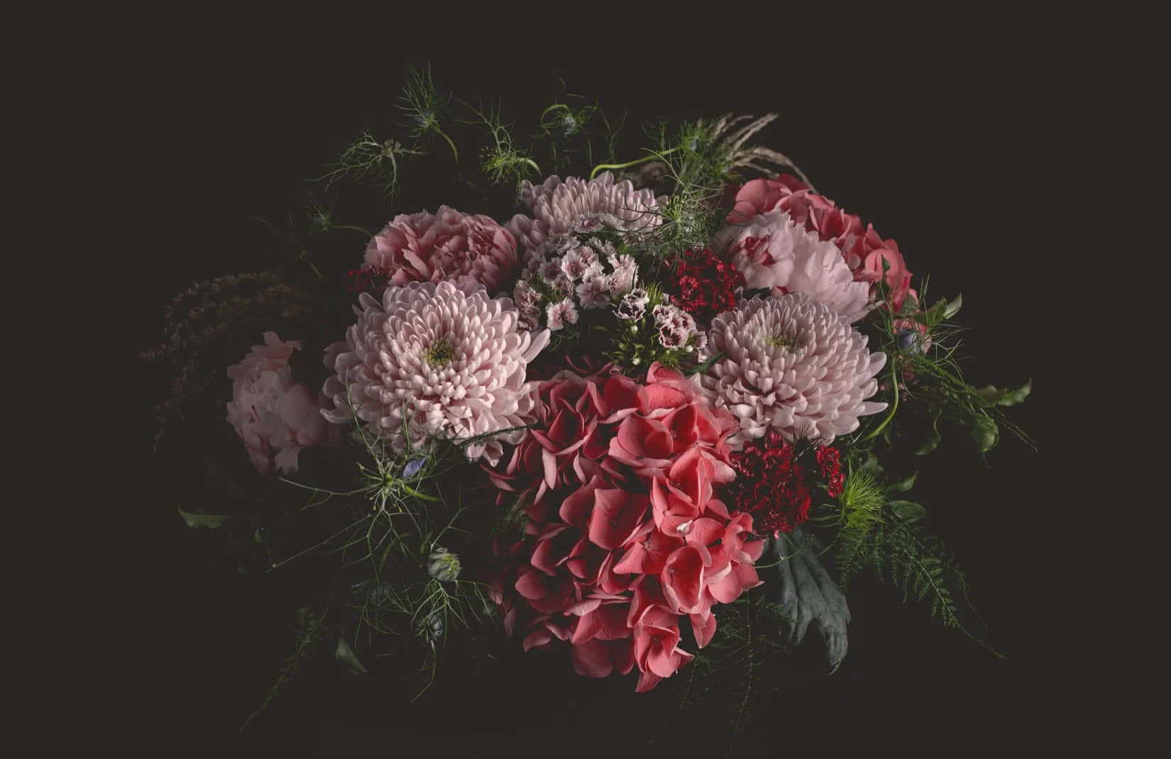 dark moody, pink flowers, red flowers, HD Desktop Wallpaper