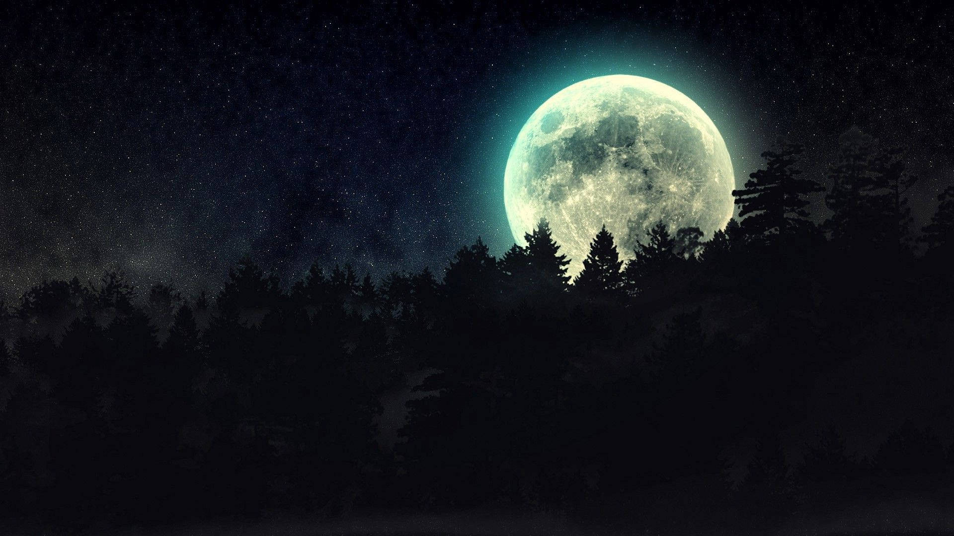 Dark Night Moon, forest, starry night sky, Full HD Desktop Wallpaper