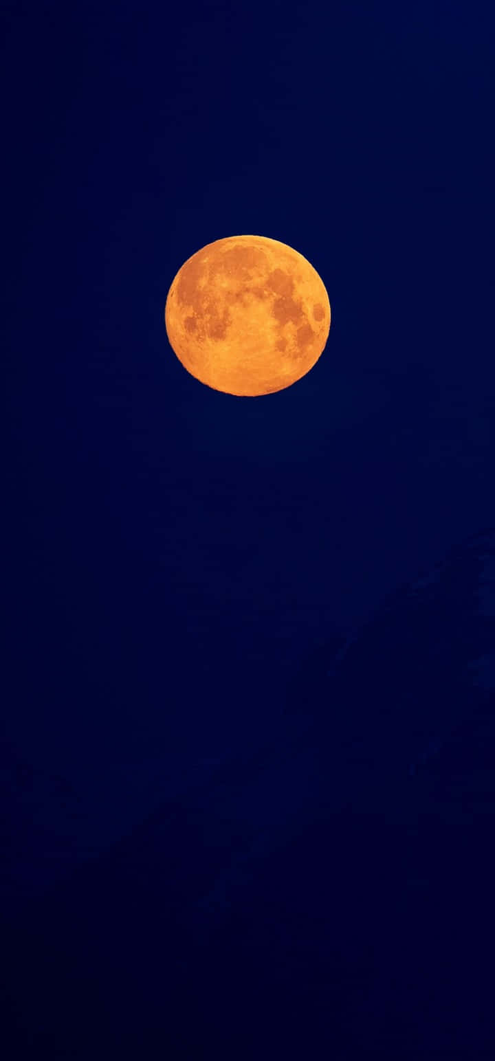 moon, orange full moon, deep indigo night sky, HD Phone Wallpaper