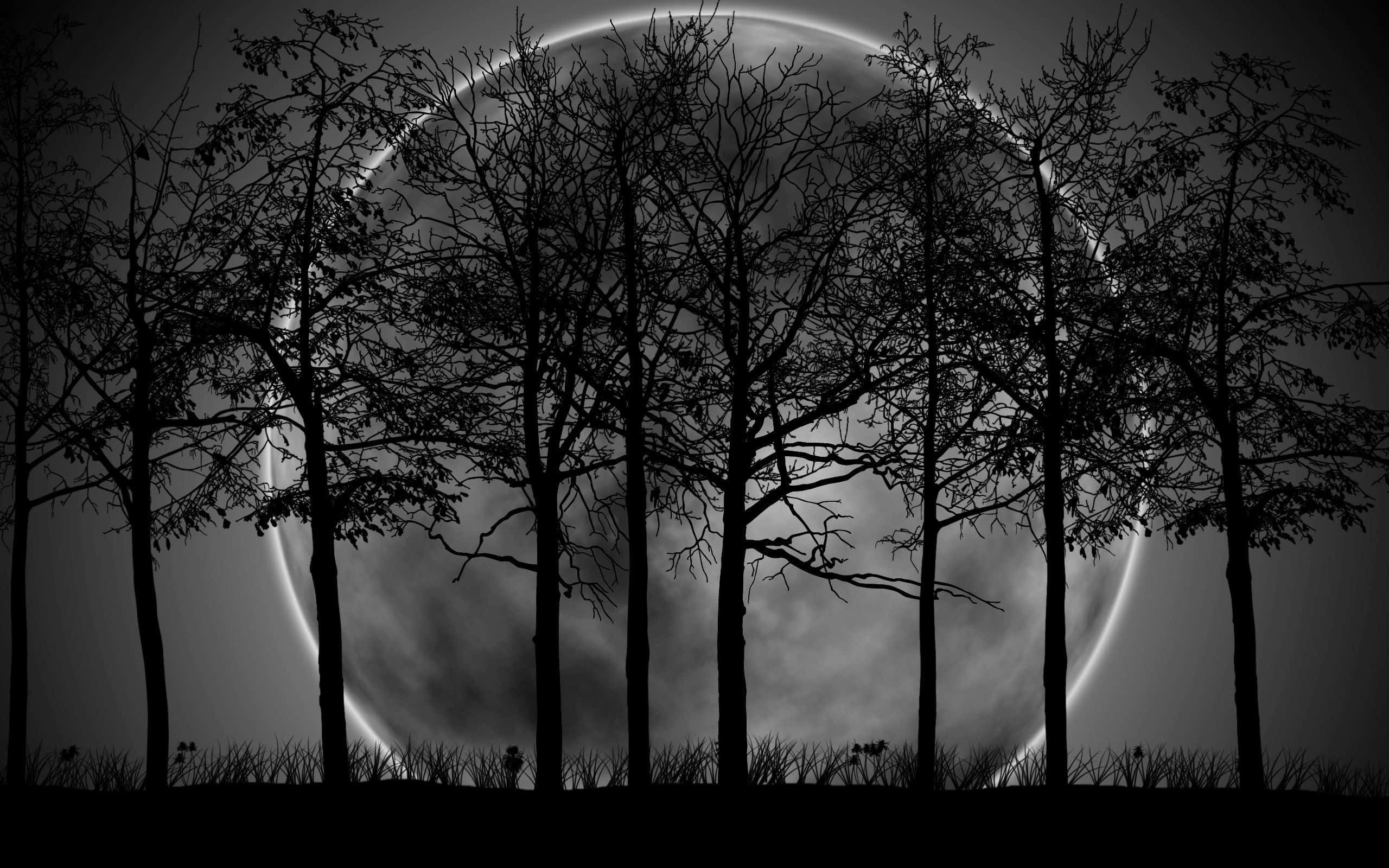 Dark Moon, crescent moon, dark moody sky, 2K Desktop Wallpaper