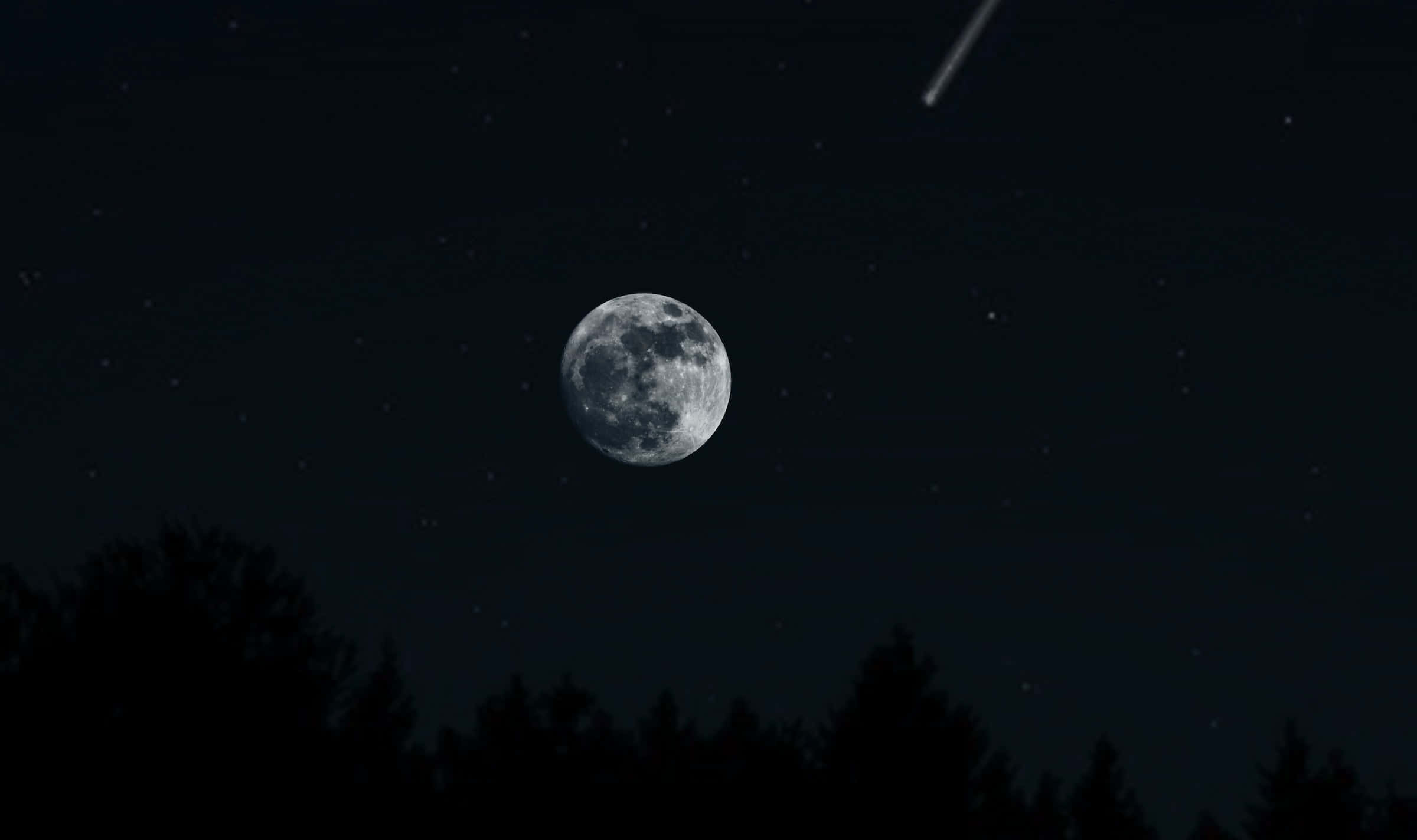 Dark Moon, full moon, dark forest silhouette, Full HD Desktop Wallpaper