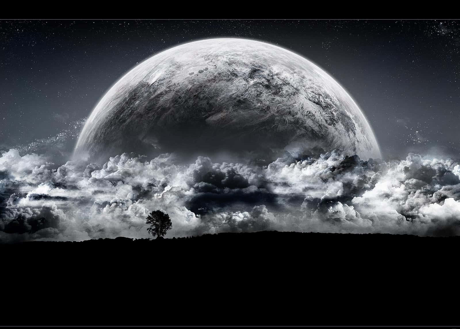 Dark Moon, lone tree silhouette, dark hill, HD Desktop Wallpaper