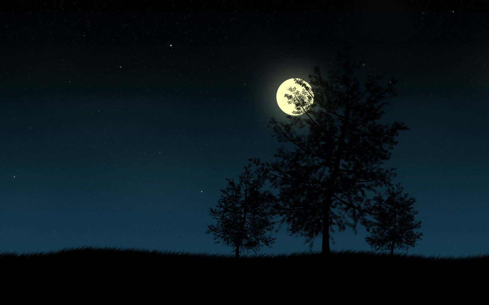 Dark Moon, full moon, silhouetted trees, HD Desktop Wallpaper