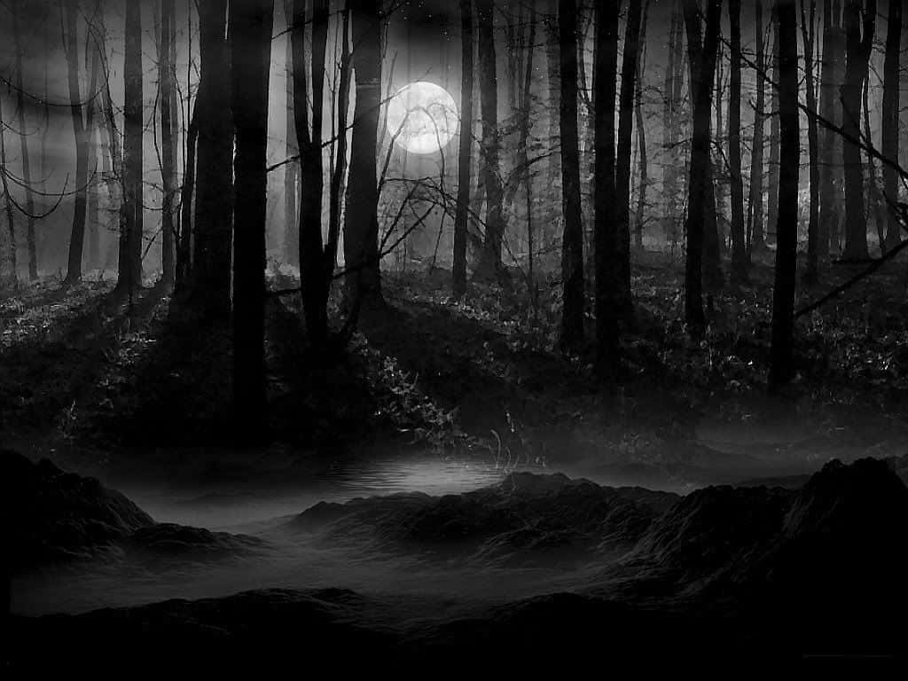 Dark Moon, full moon, night sky, SD Desktop Wallpaper