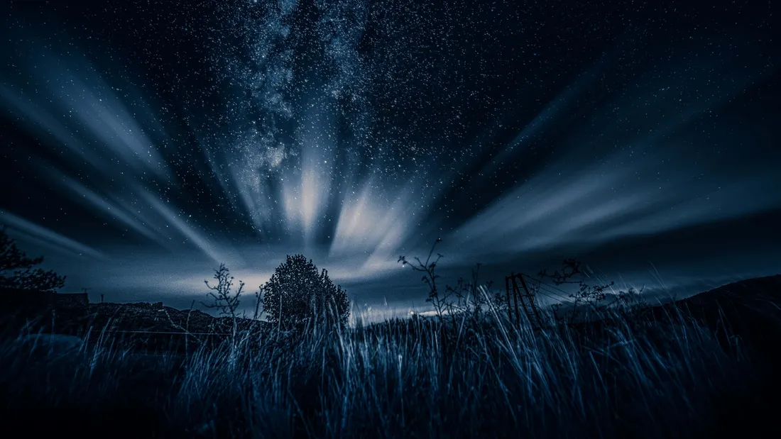 Dark Nature