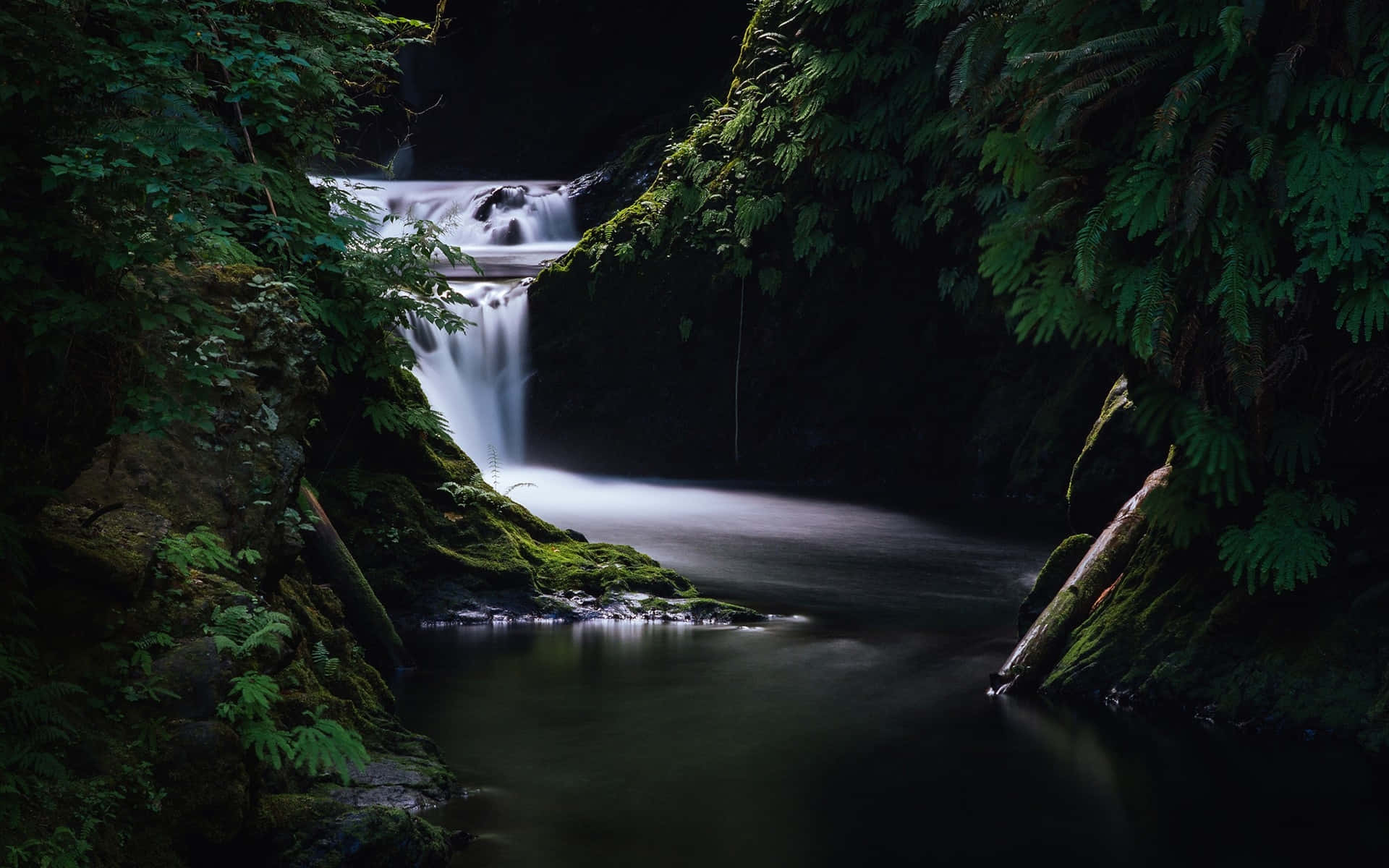 dark nature, waterfall, mossy forest gorge, Full HD Desktop Wallpaper