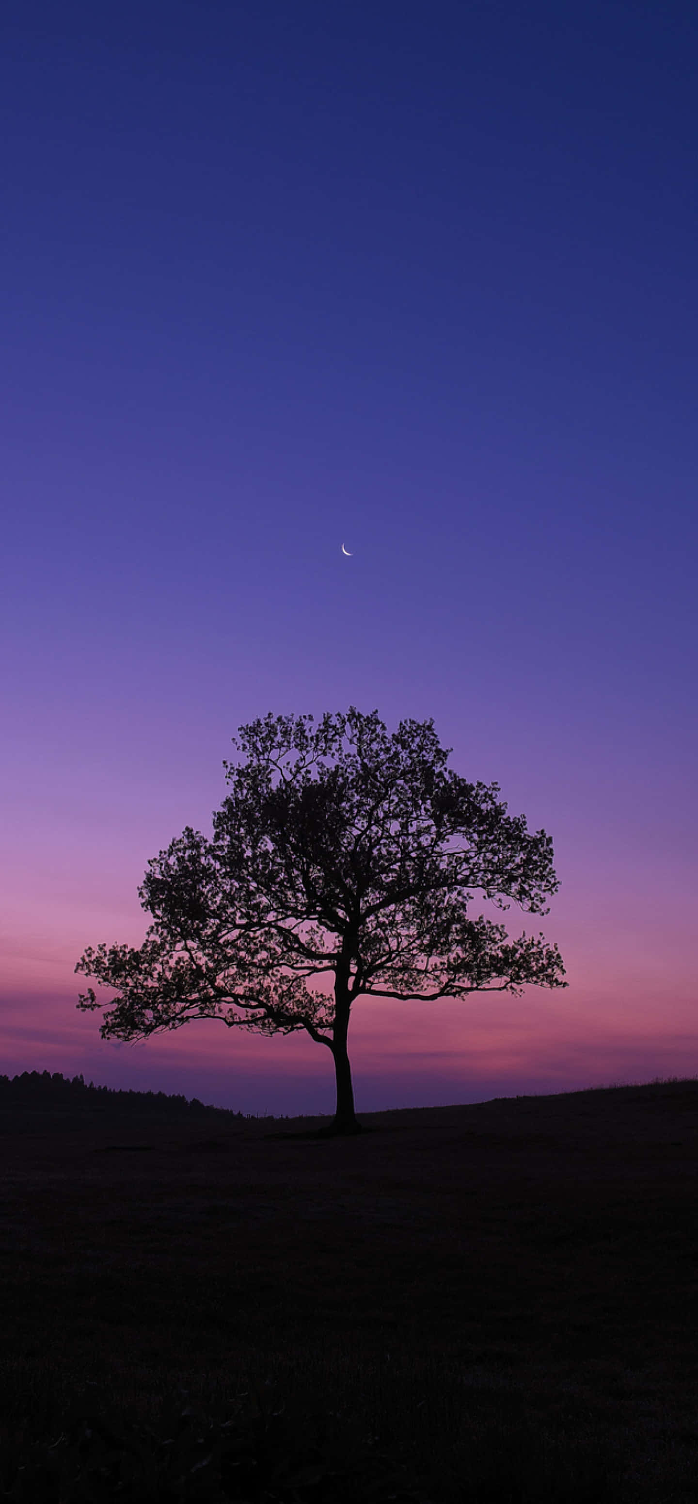 Dark Nature, crescent moon, twilight sky, 2K Phone Wallpaper