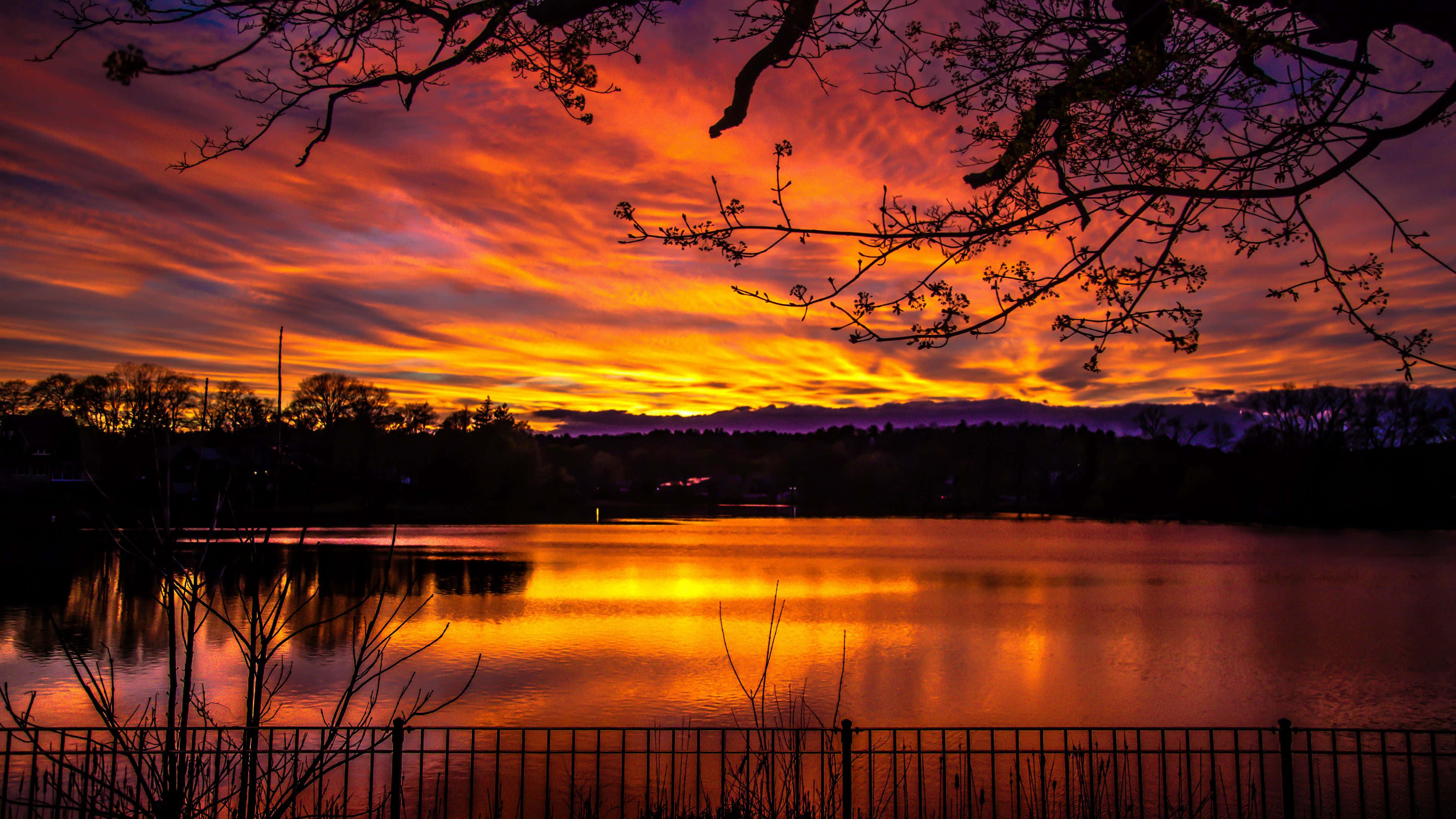 Dark Nature, orange, purple, 4K Desktop Wallpaper