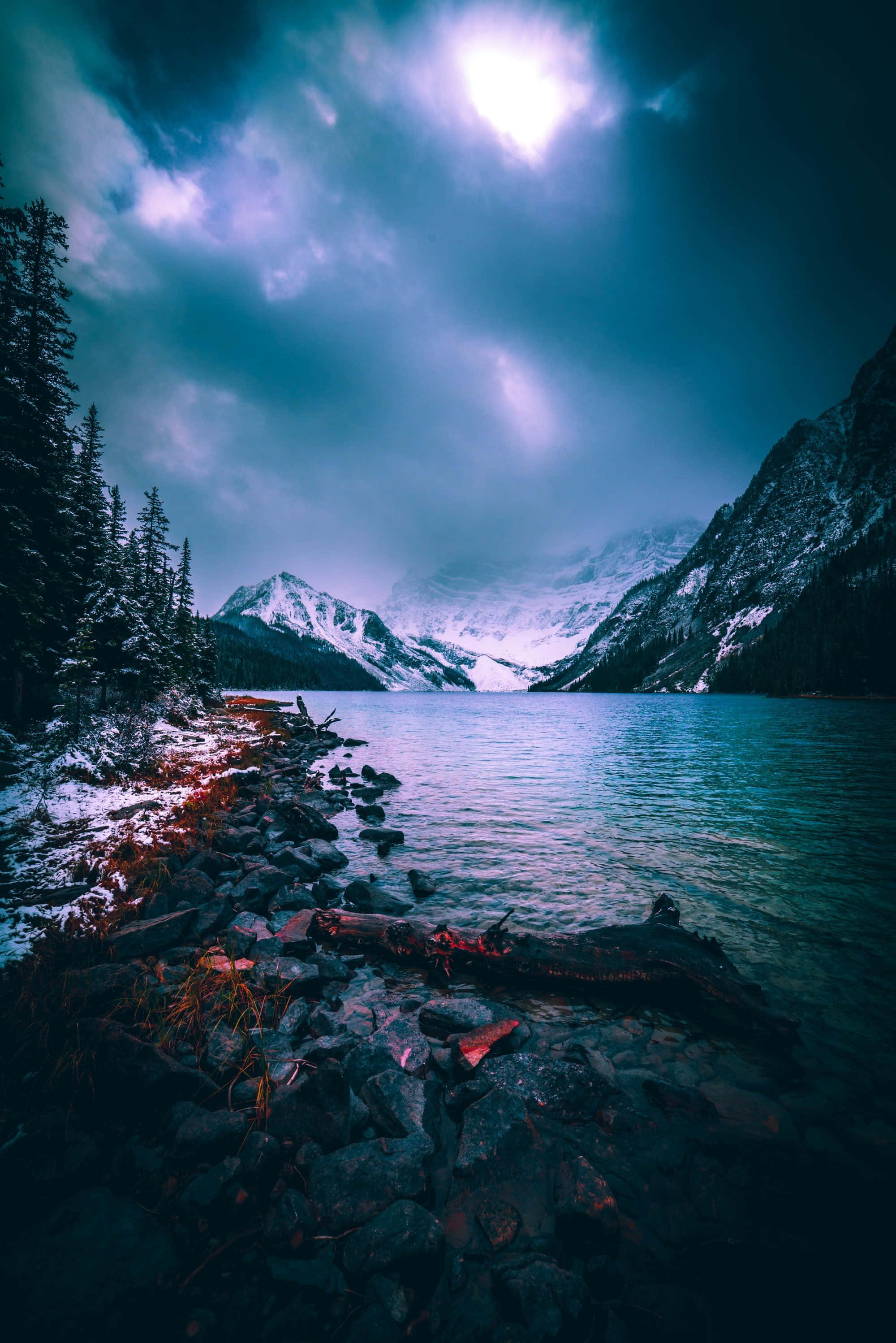 moonlit mountain lake, eerie blue light, snow-dusted pines, 2K Phone Wallpaper