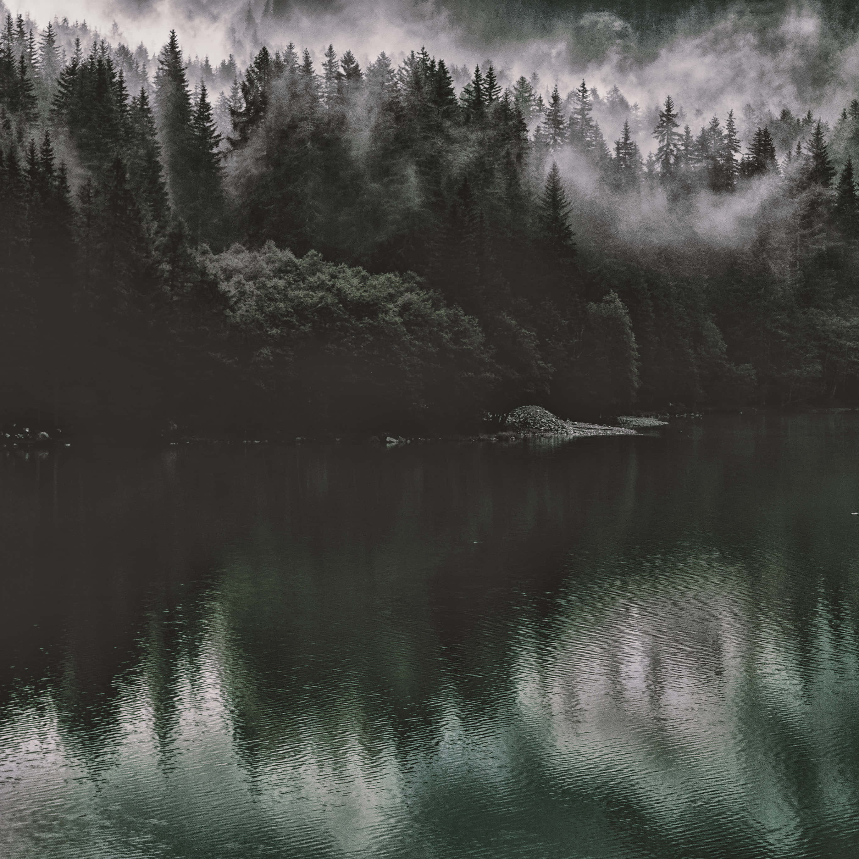 dark nature, misty forested mountainside, calm waters, 2K Desktop Wallpaper