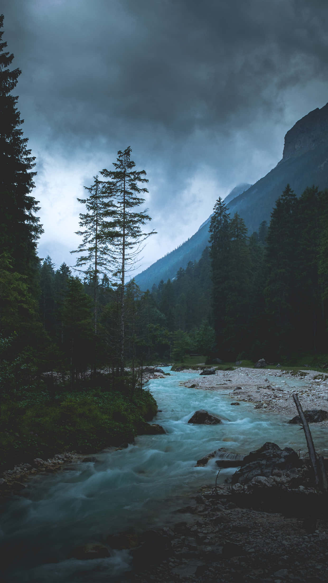 dark forested valley, turbulent river, stormy gray sky, Full HD Phone Wallpaper