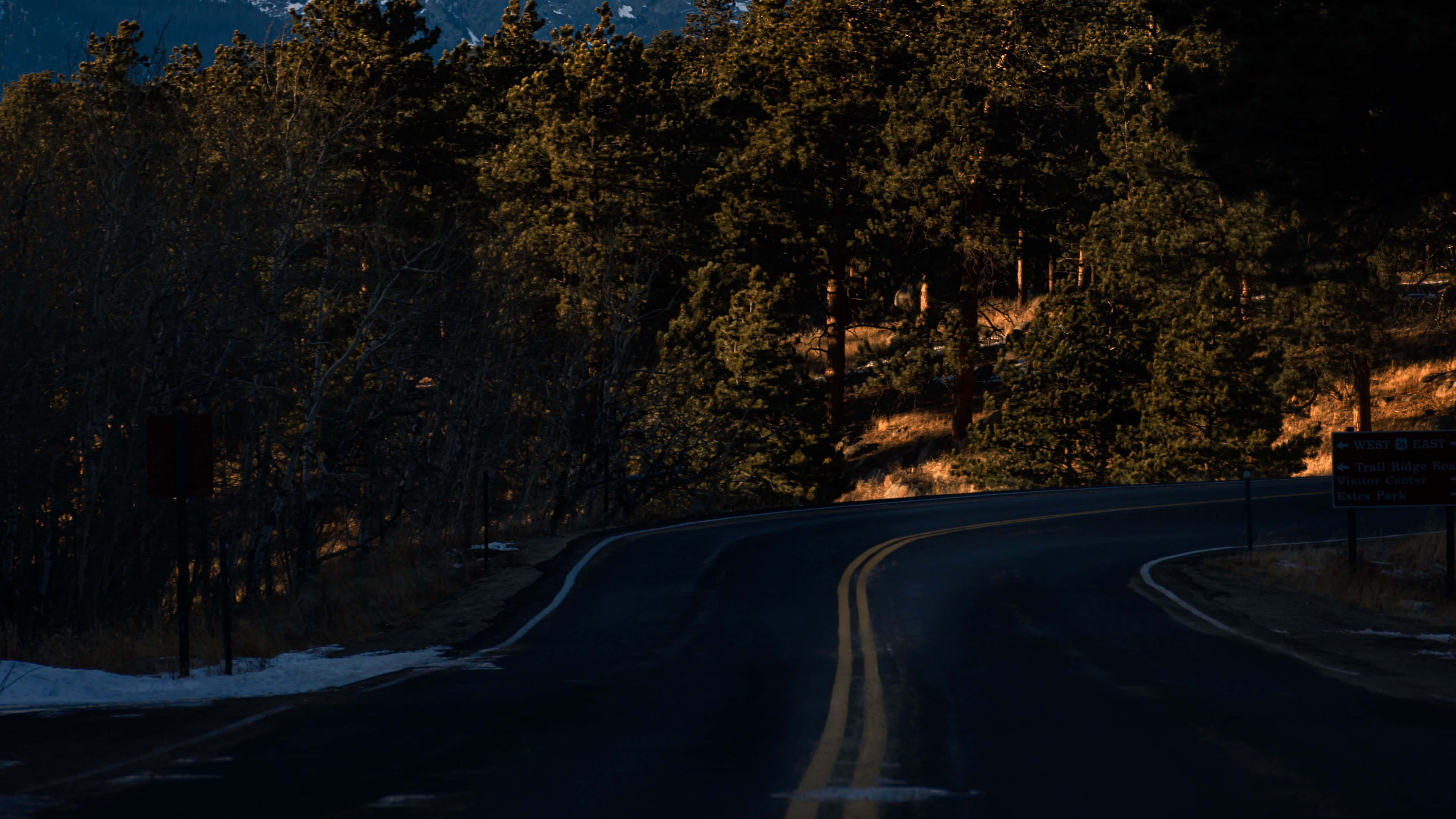 Dark Nature, mountain road, pine trees, 4K Desktop Wallpaper