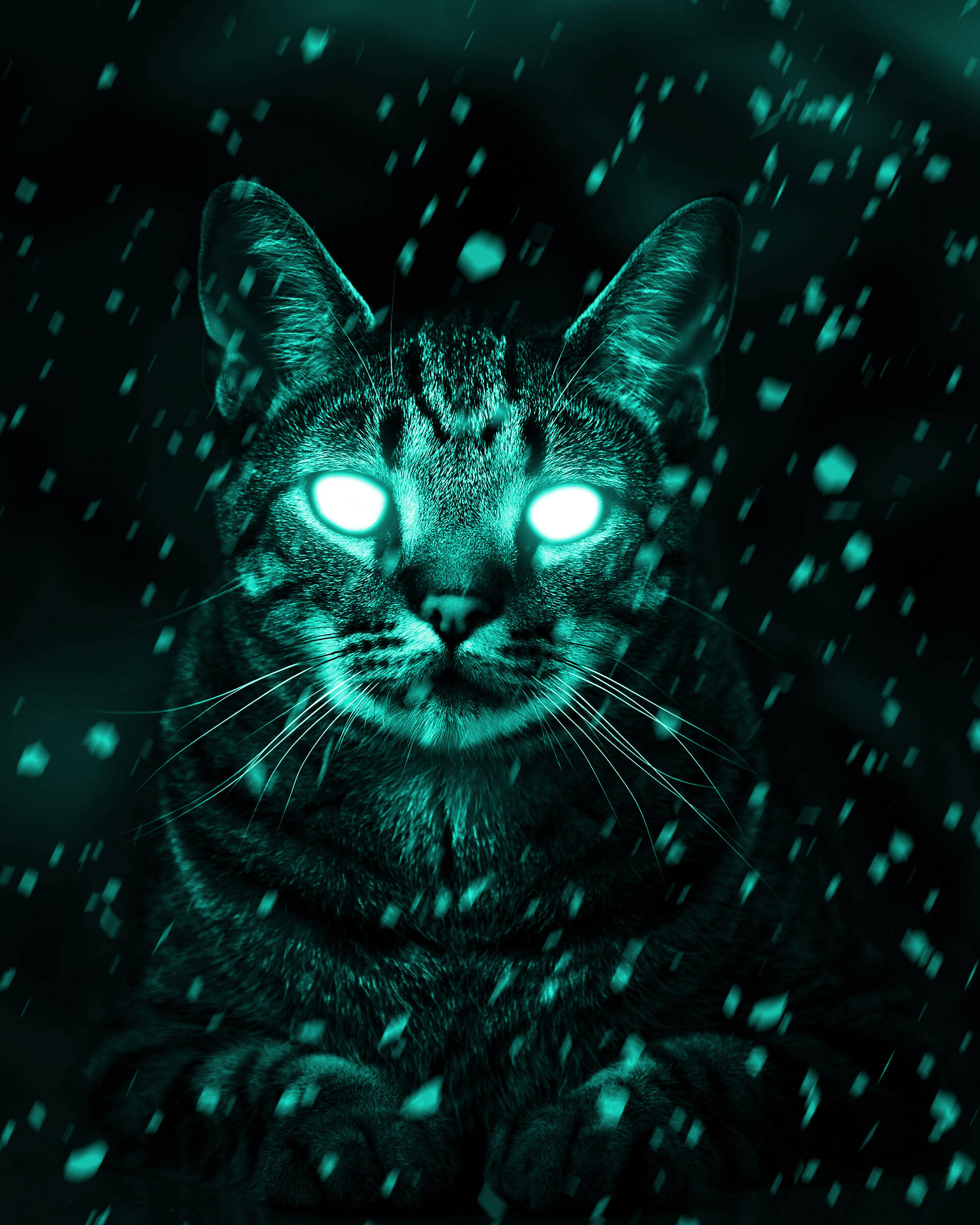 tabby cat, glowing cyan eyes, digital snow, Full HD Phone Wallpaper