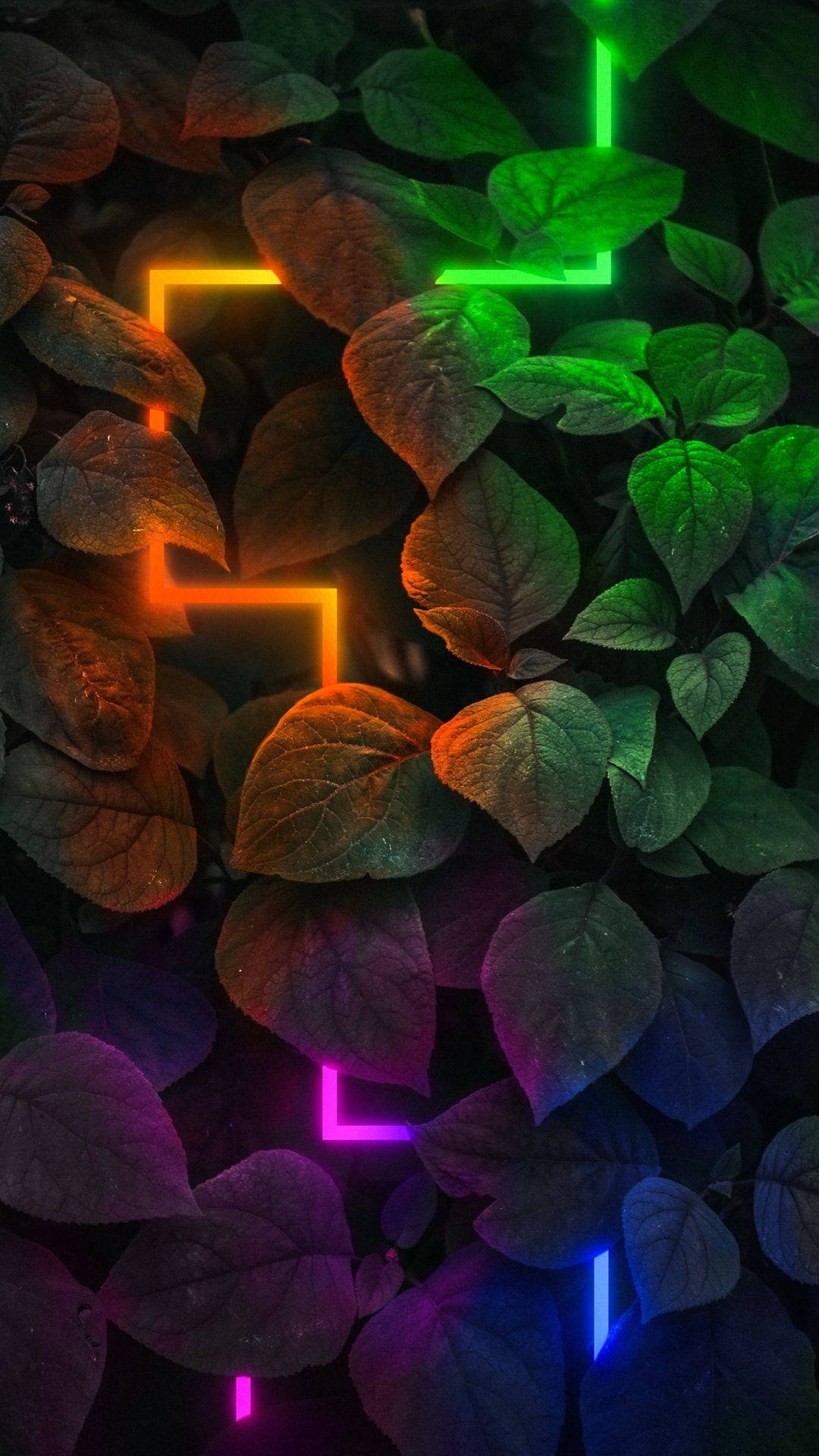 Dark Neon, neon lines, orange, Full HD Phone Wallpaper