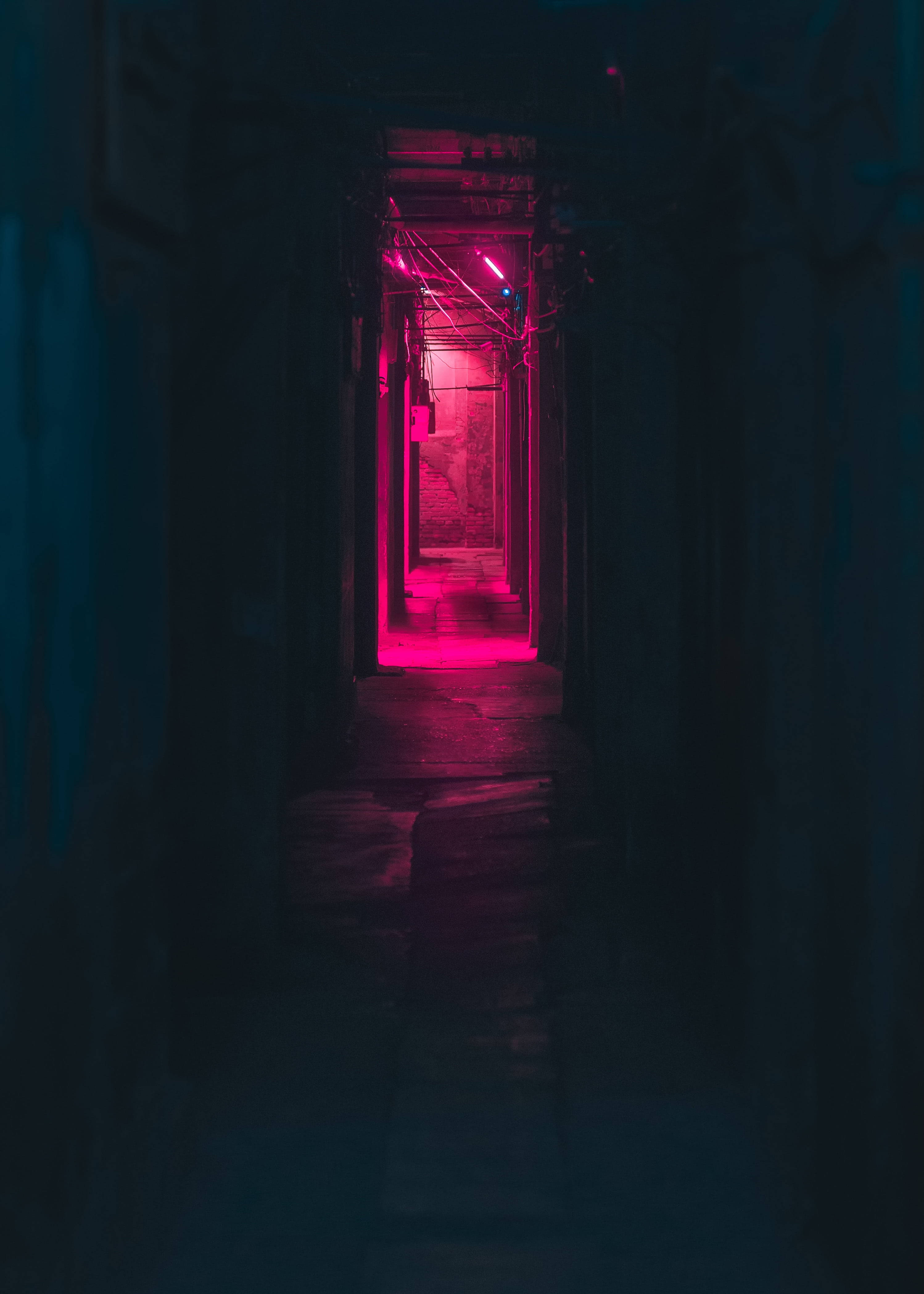 Dark Neon, pink neon lights, narrow dark alleyway, 4K Phone Wallpaper