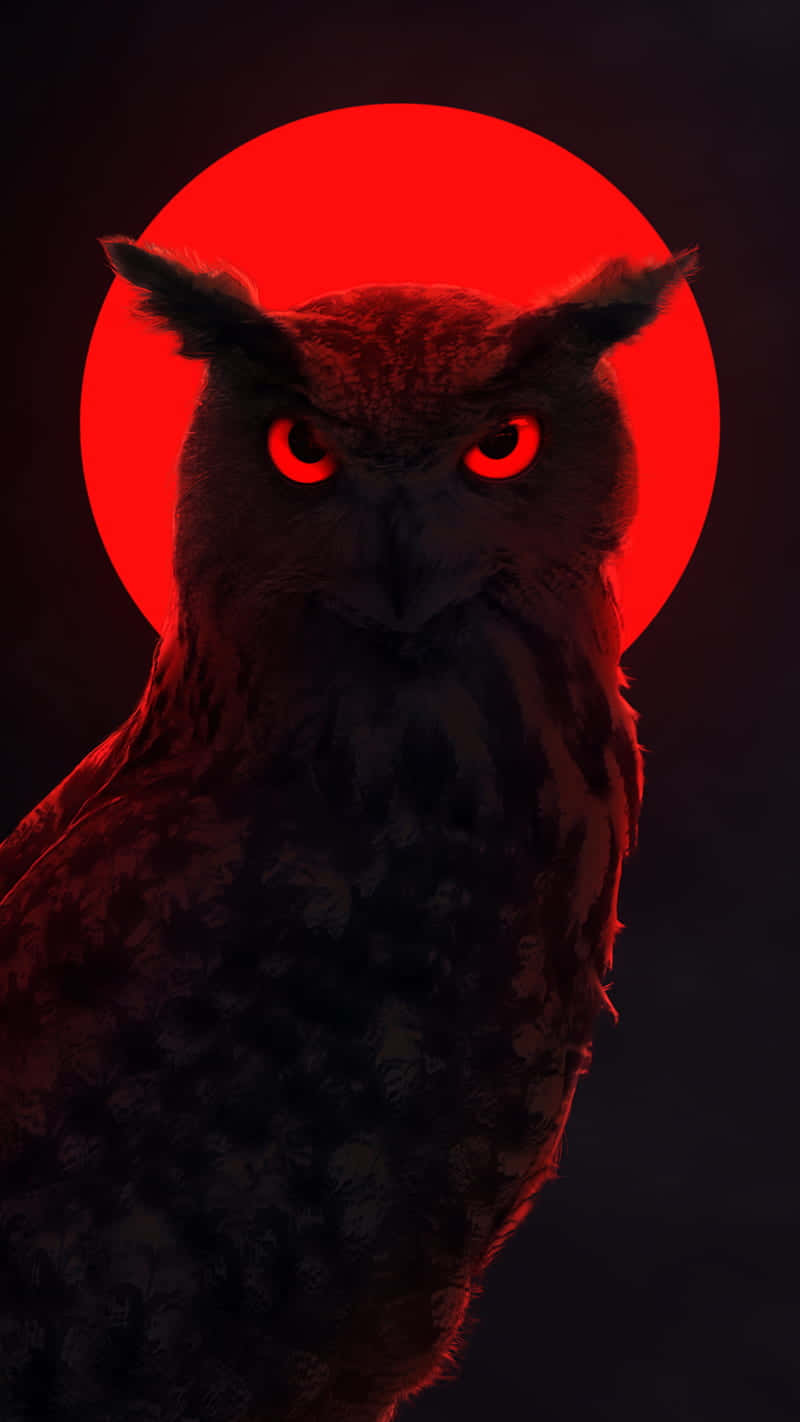 black, red, neon, HD Phone Wallpaper