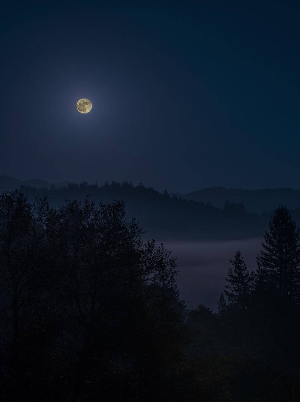 Dark Night, full moon, misty valley, HD Phone Wallpaper